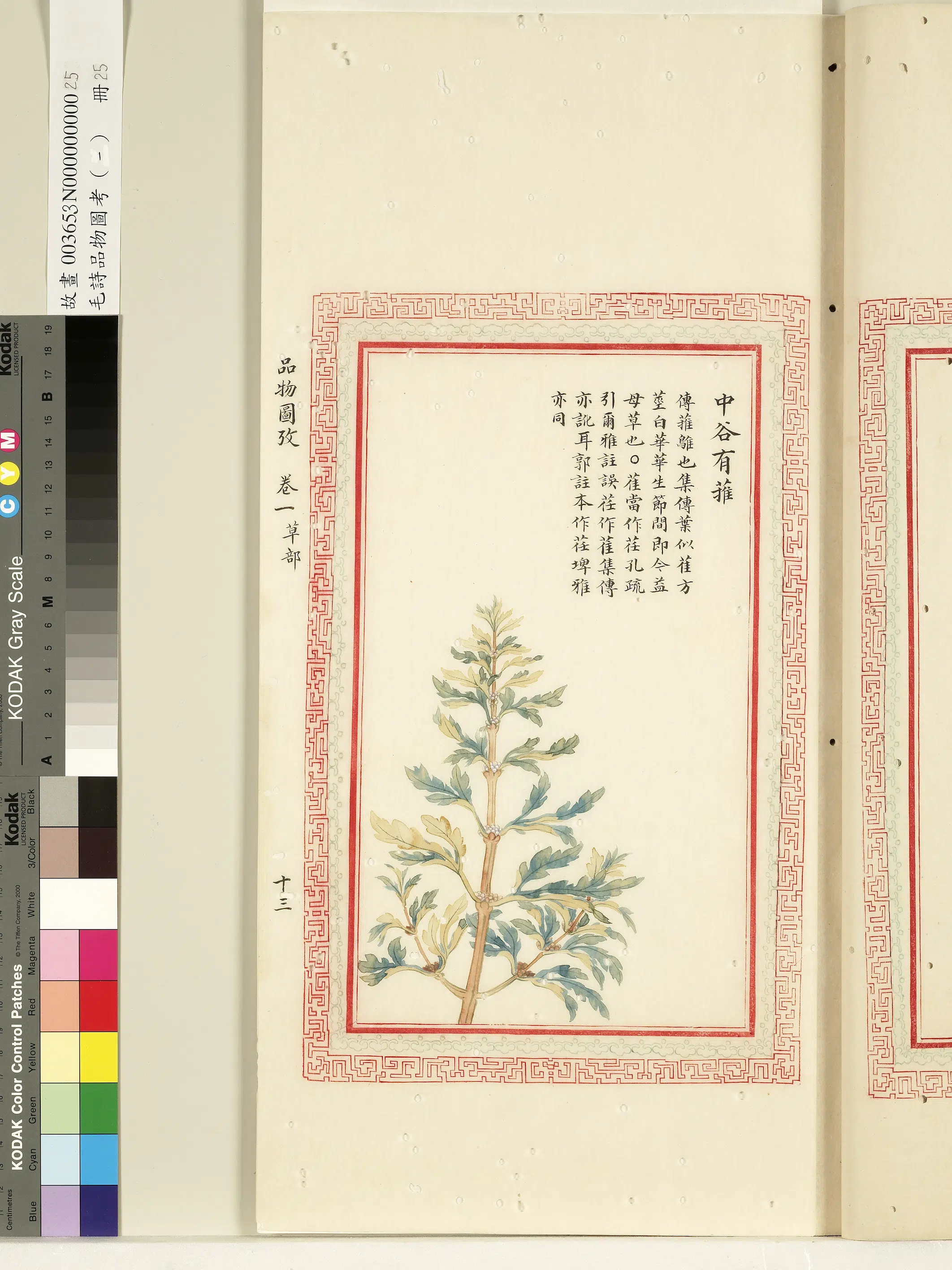 清代《毛诗品物图考(一)册-1》 第5张 清代《毛诗品物图考(一)册-1》 第5张