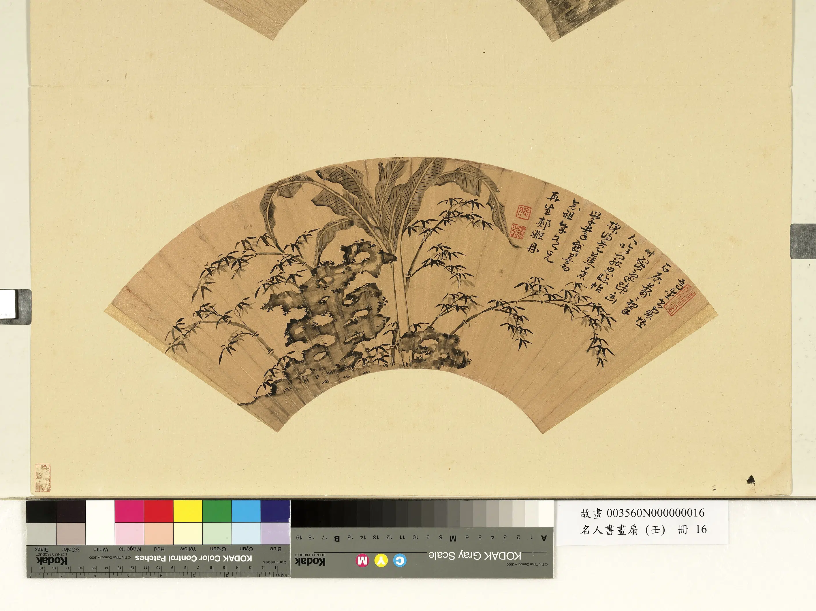 明朝【郏鼎】《名人书画扇（壬）册-芭蕉奇石》
