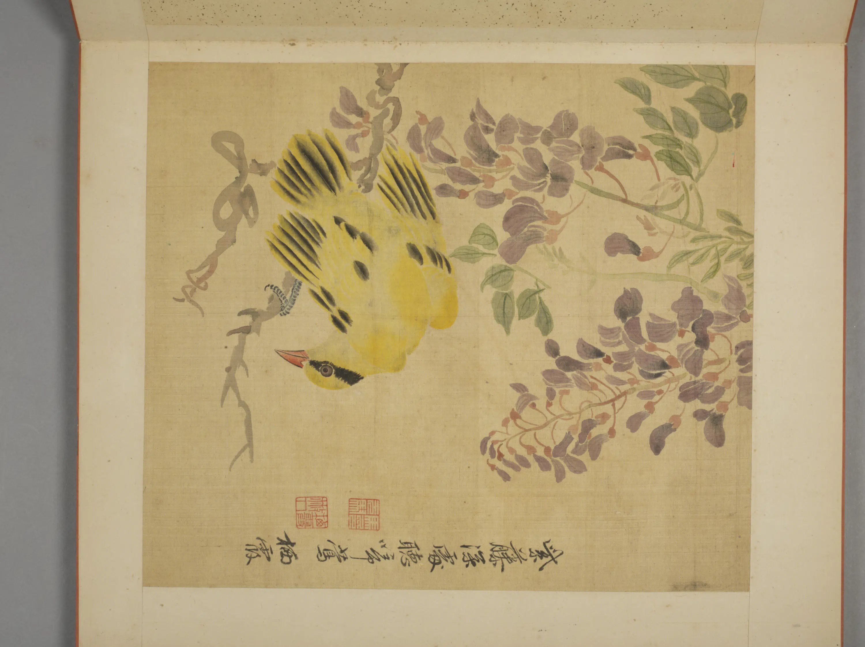 清代【马元驭】《花卉册》 第5张