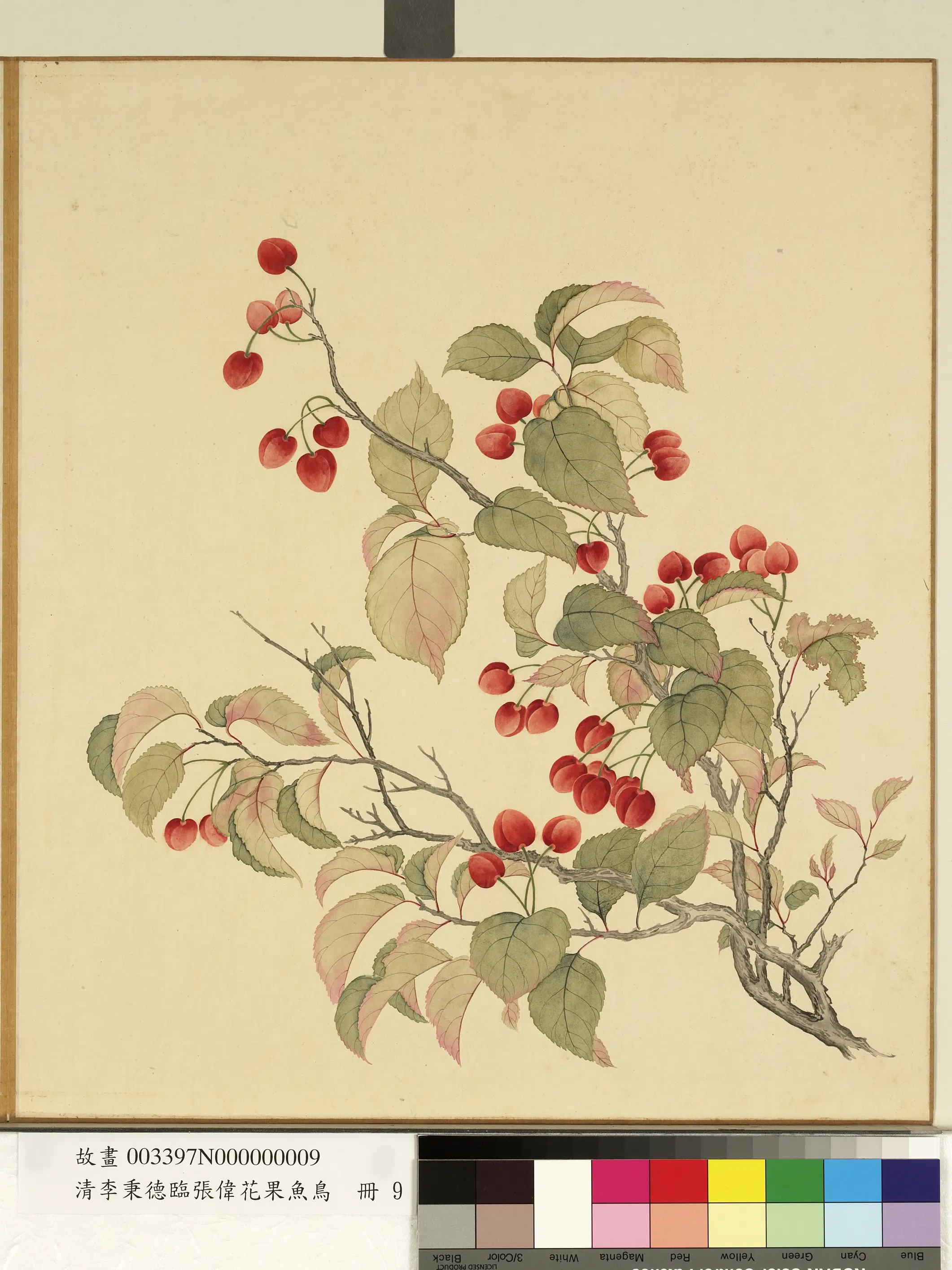 清代【李秉德】《临张伟花果鱼鸟册-樱桃》