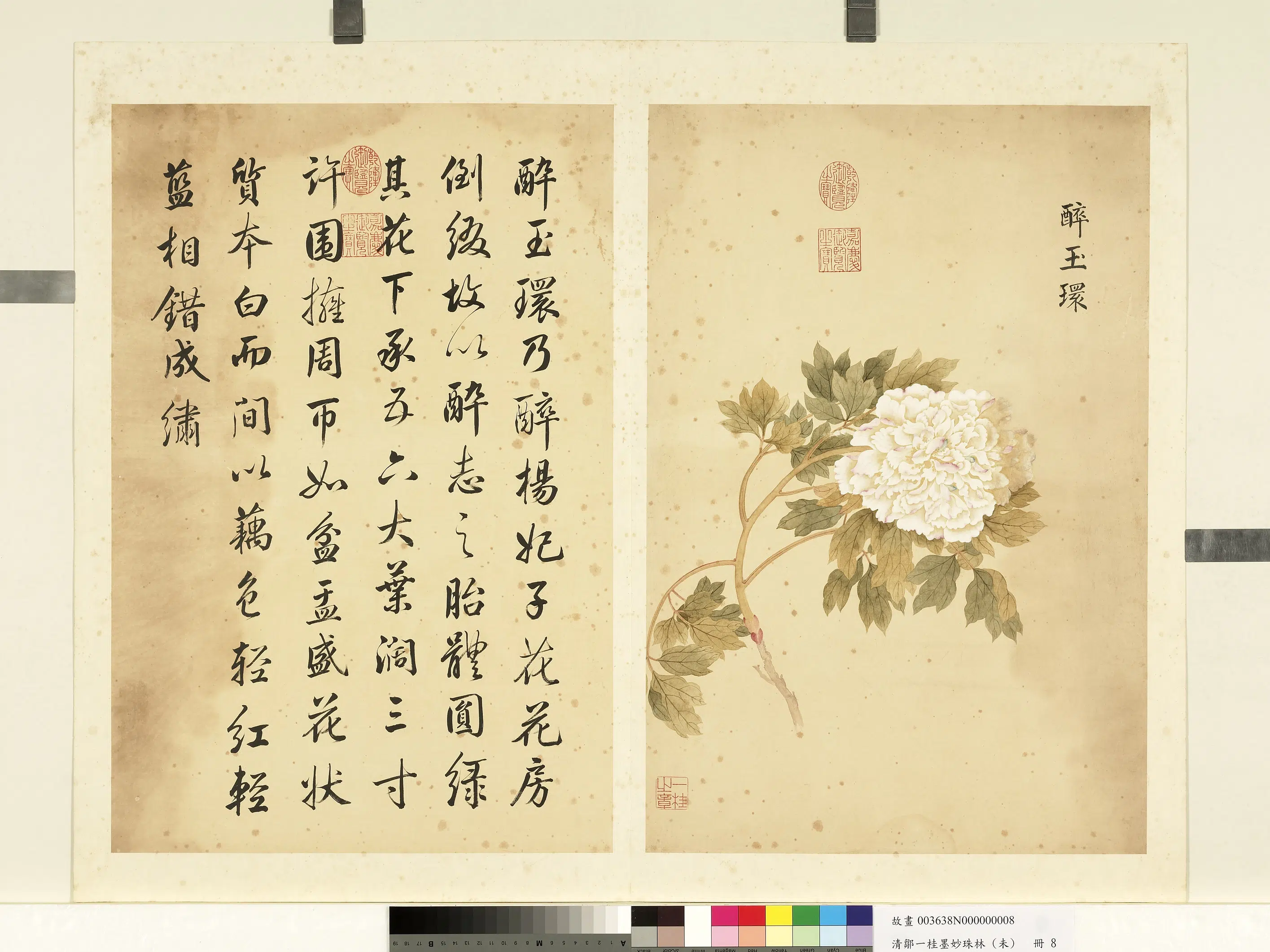 清代【邹一桂】《墨妙珠林（未）册》 第19张