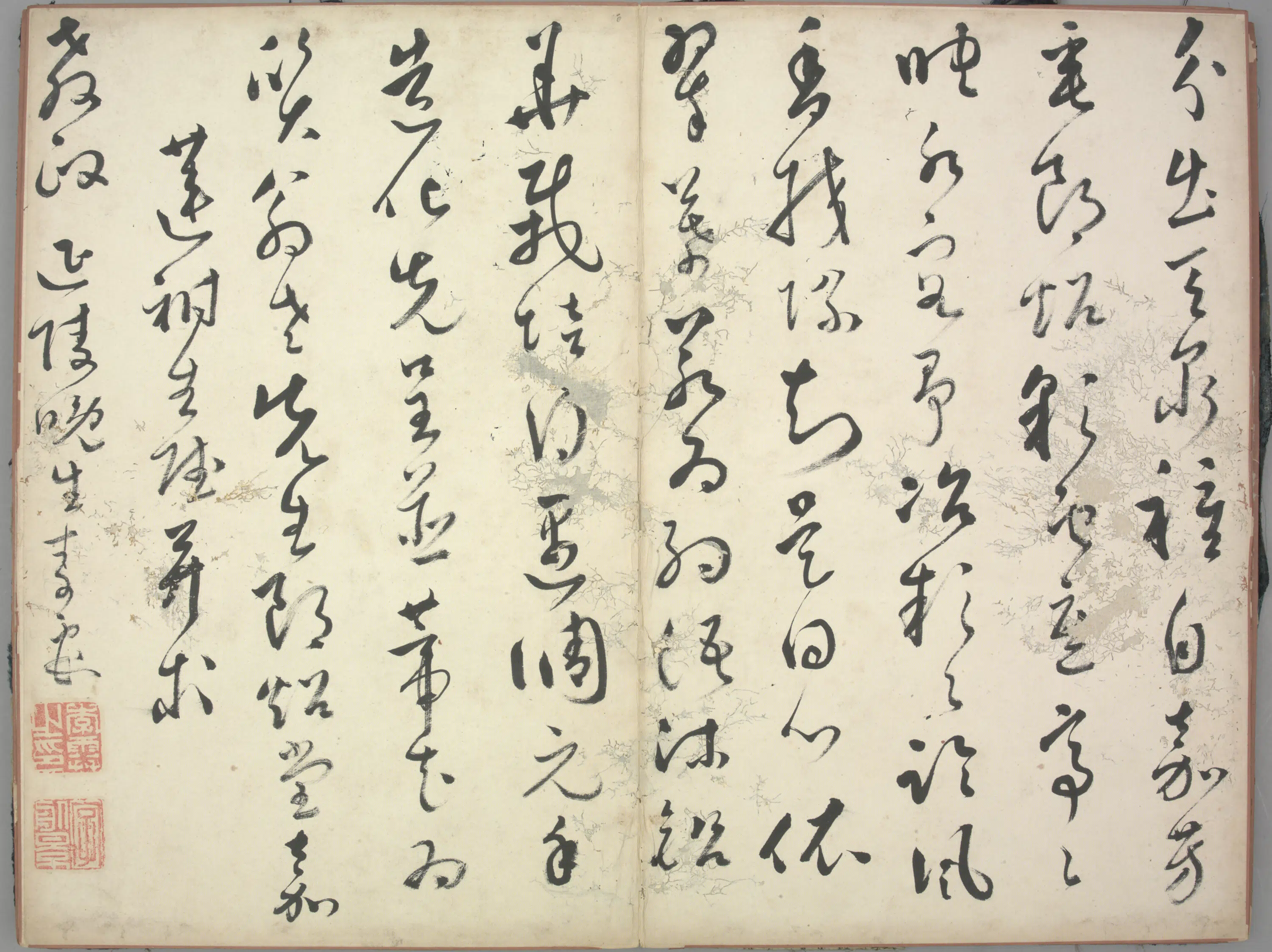 明朝【李某】《草书莲祔生诗页》 第1张 明朝【李某】《草书莲祔生诗页》 第1张
