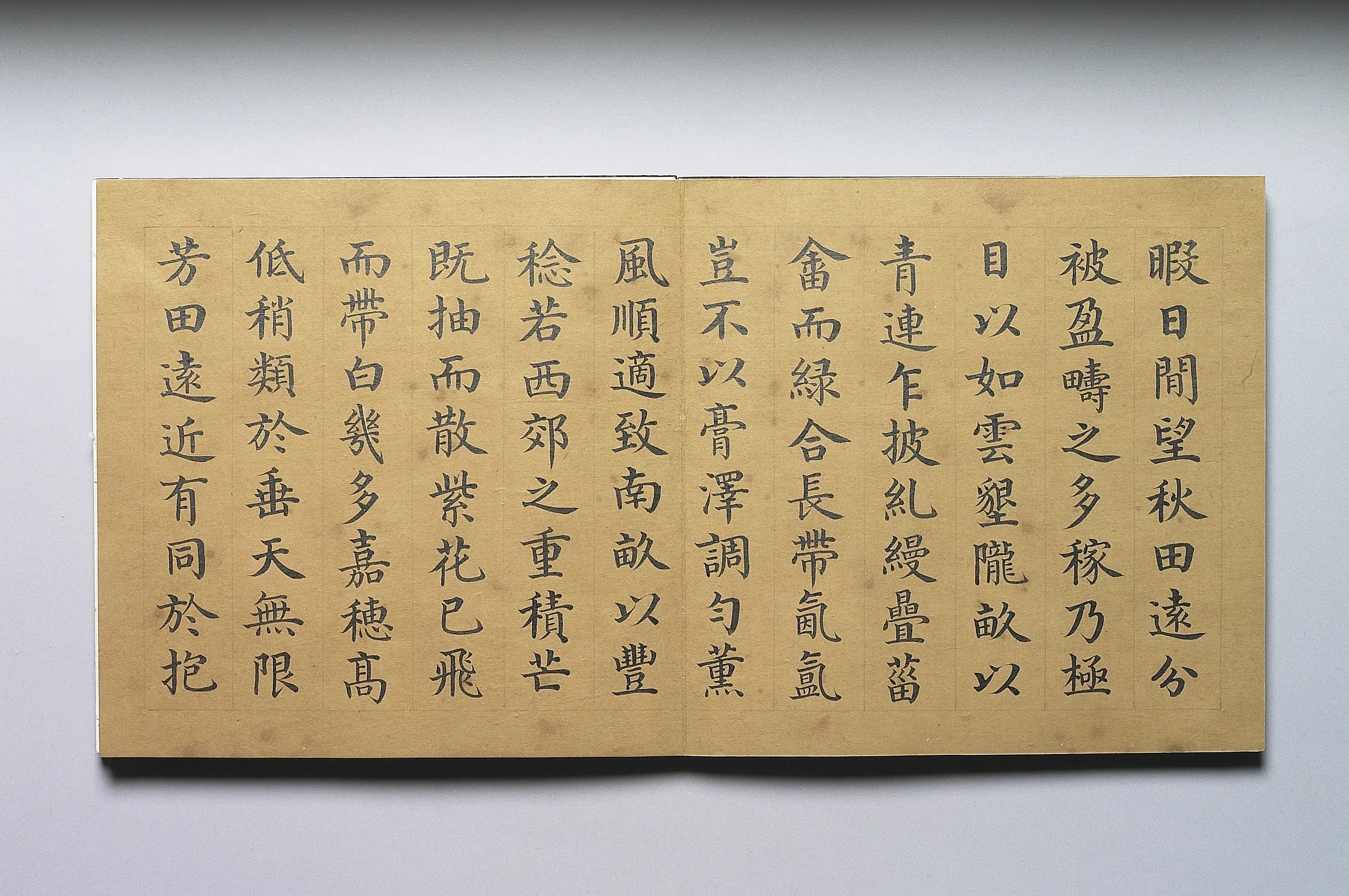 清代【戴衢亨】《书王棨多稼如云赋》 第3张