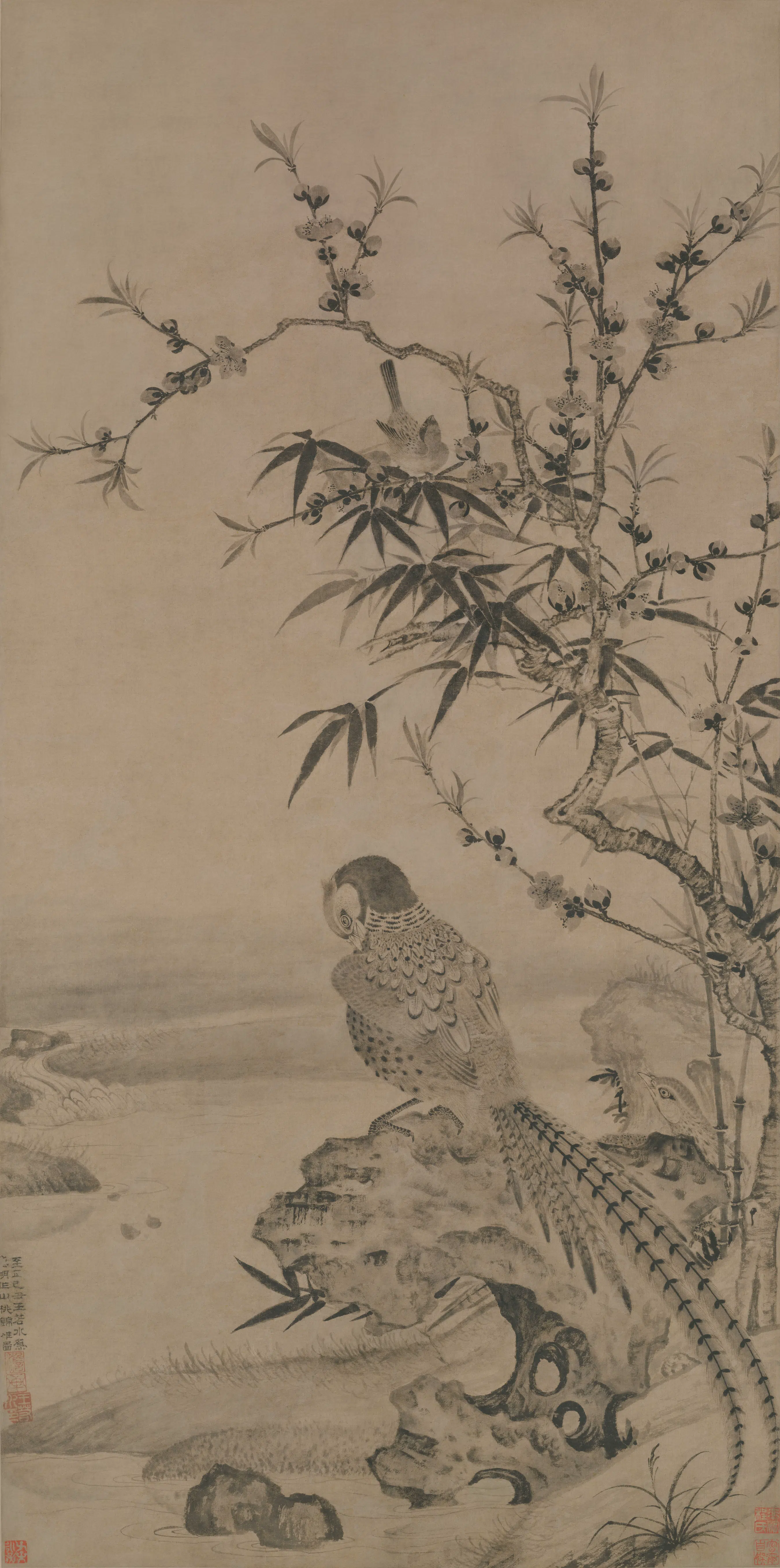 元朝【王渊】《桃竹锦鸡图轴》