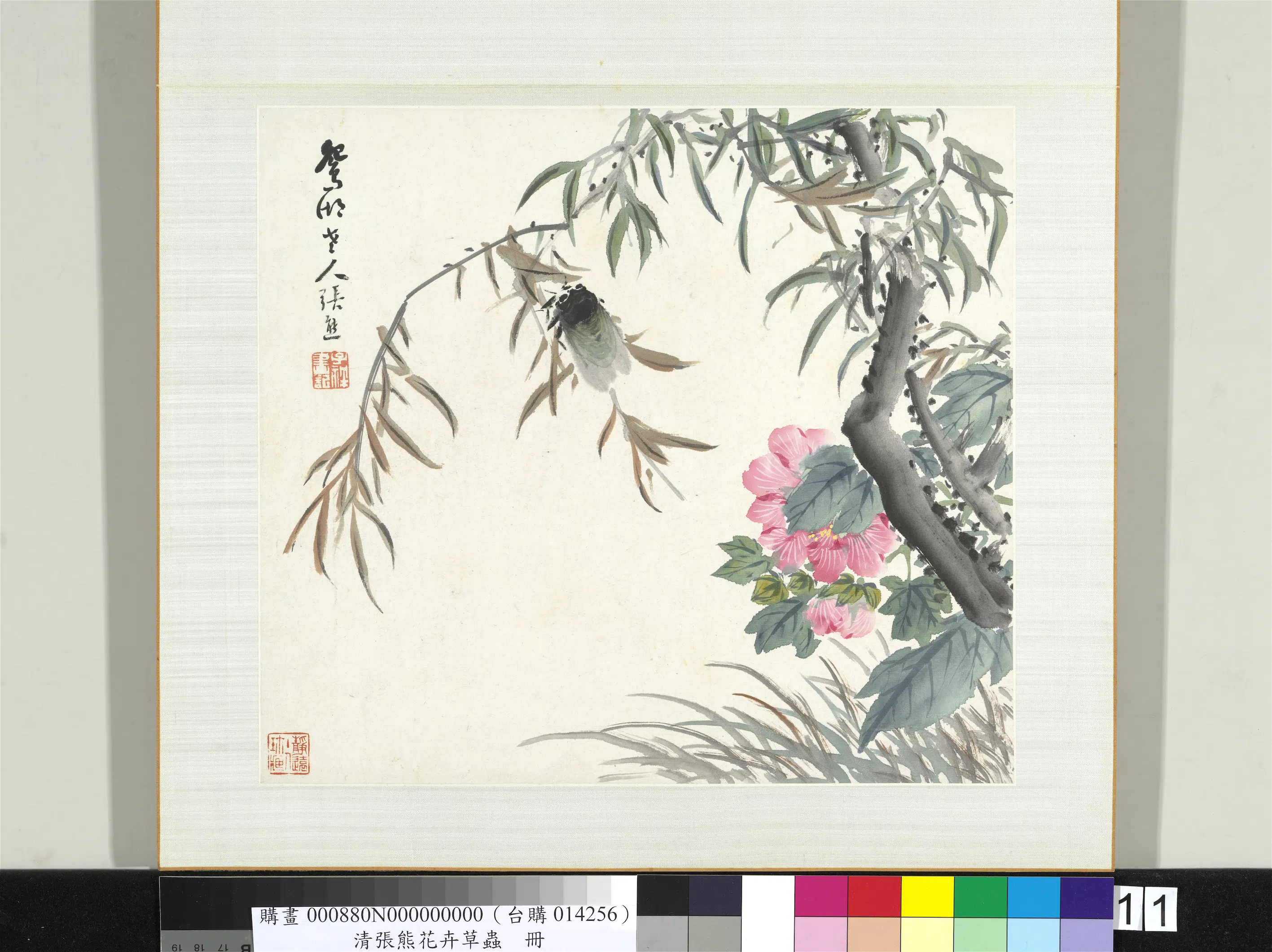 清代【张熊】《花卉草虫册》 第11张 清代【张熊】《花卉草虫册》 第11张