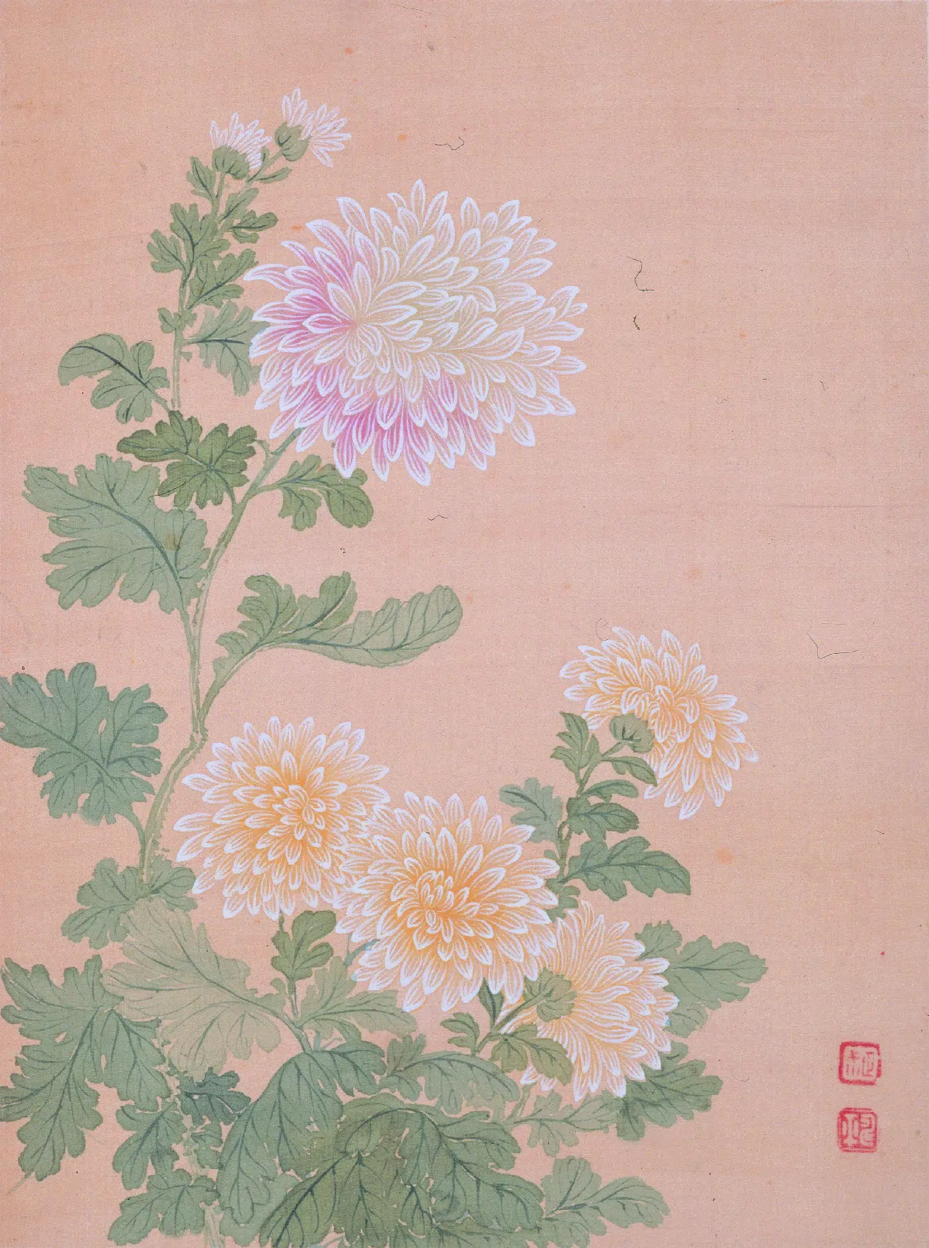 清代【恽寿平】《花卉图册》 第8张 清代【恽寿平】《花卉图册》 第8张