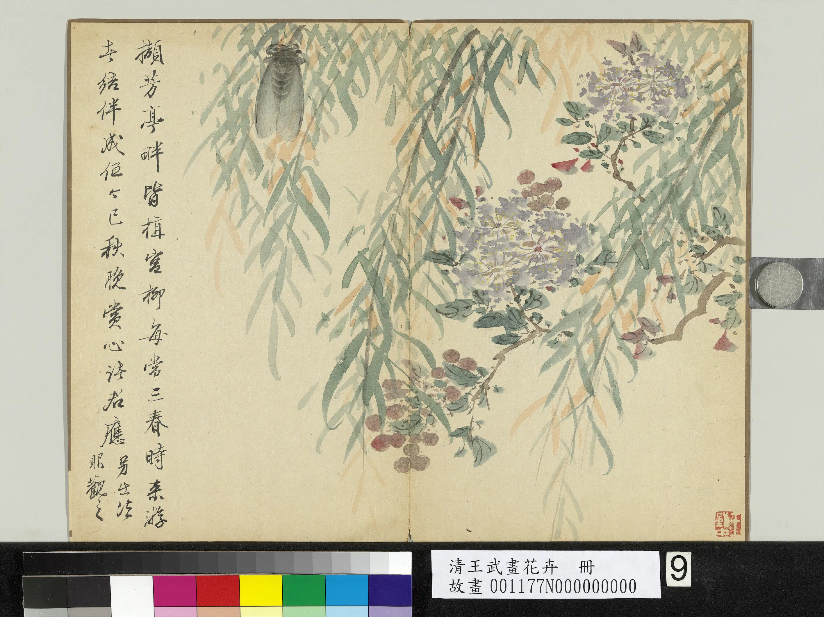 清代【王武】《画花卉册-秋柳栖蝉》