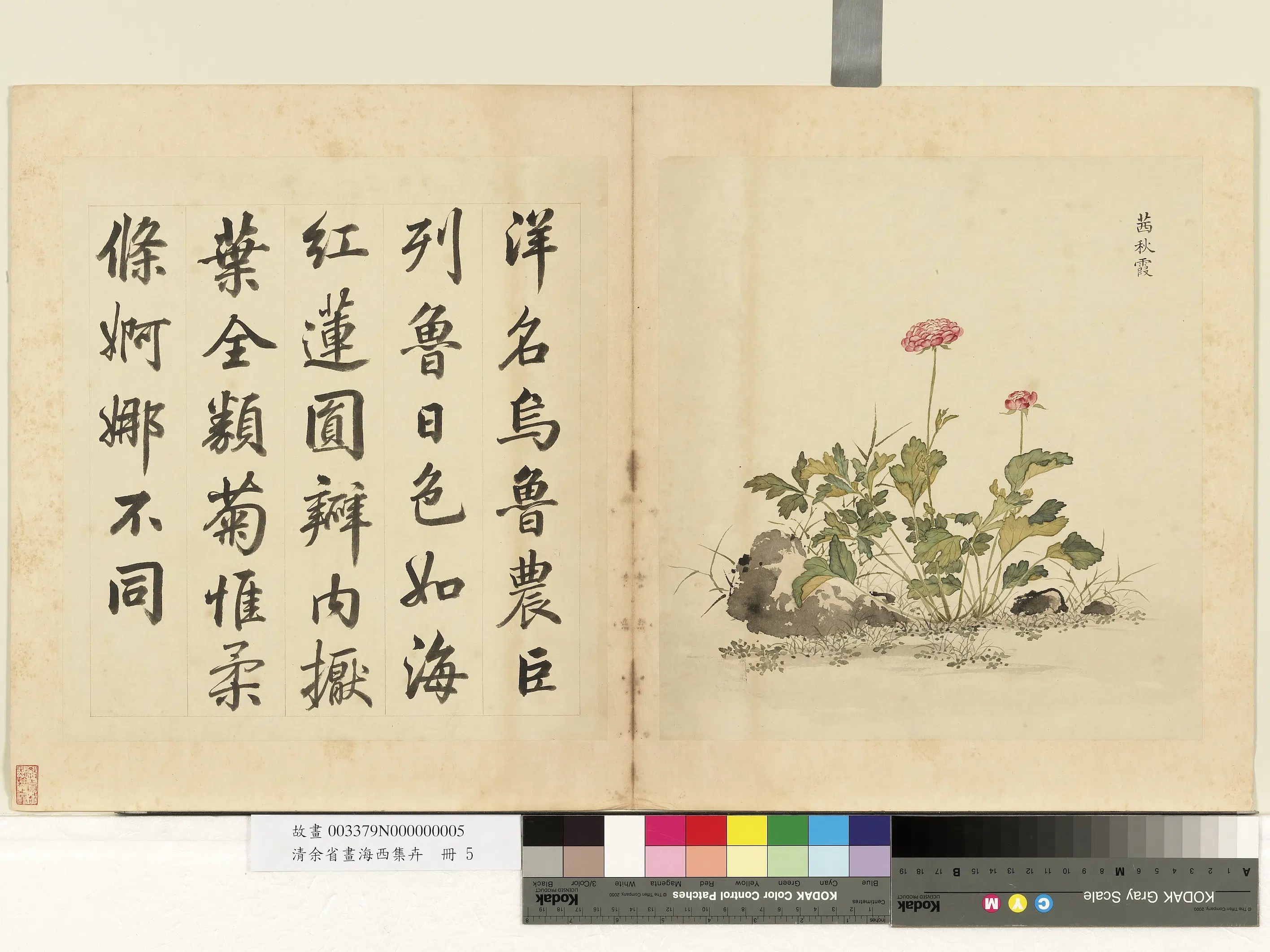 清代【余省】《画海西集卉册》 第7张