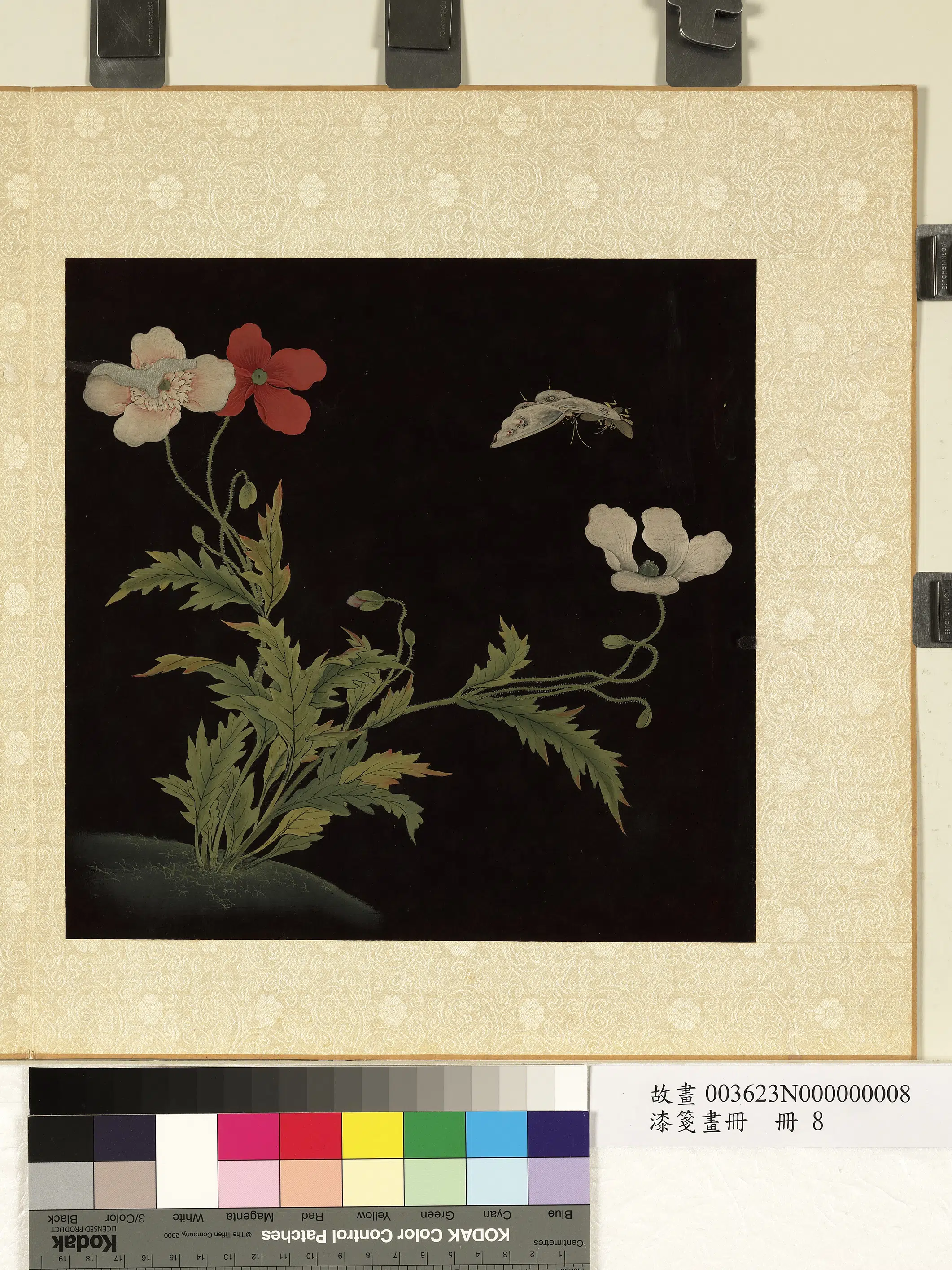清朝【佚名】《漆笺画册-花蝶-2》