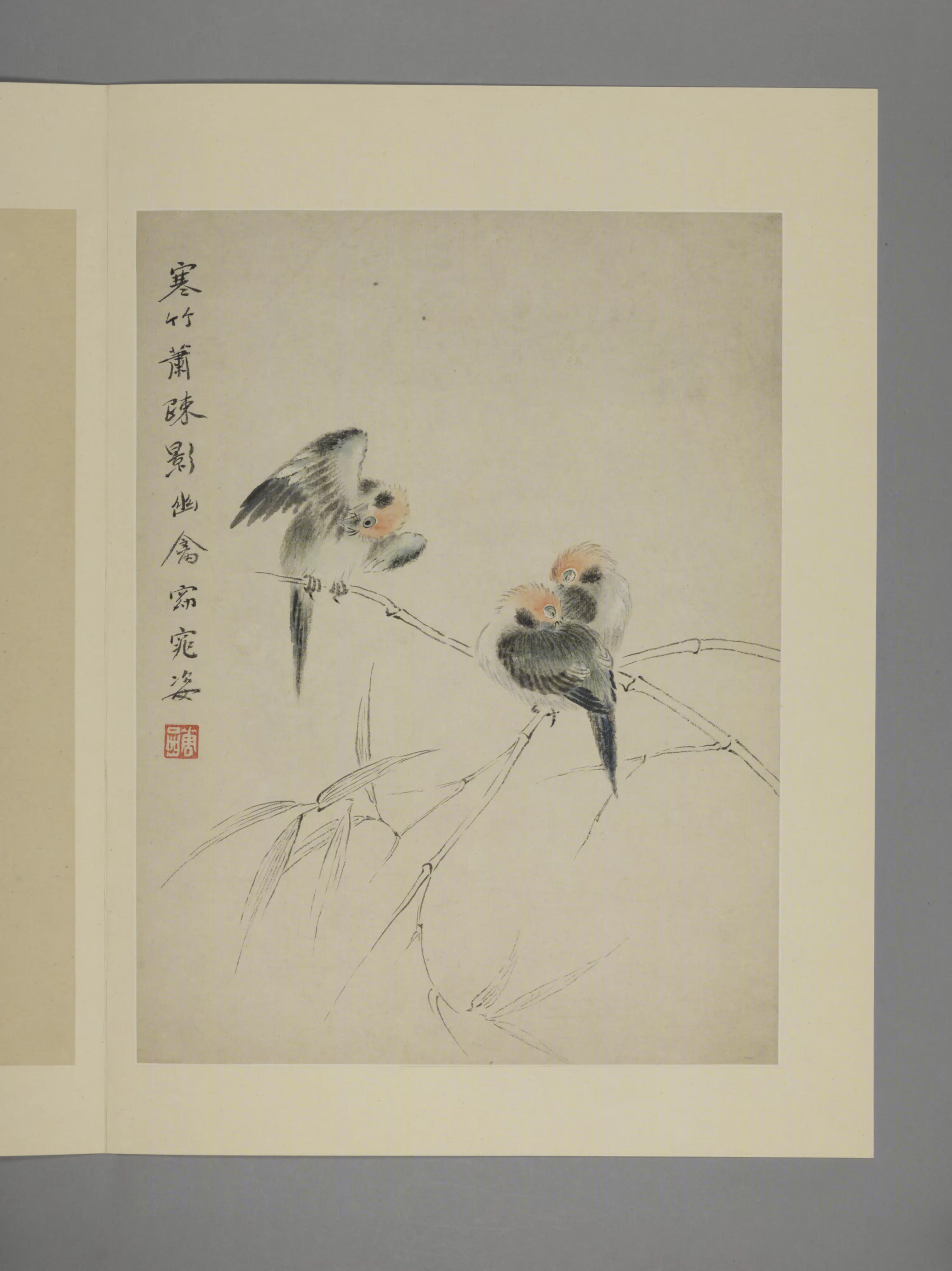 清代【华喦】《花鸟图册（11开）》 第11张