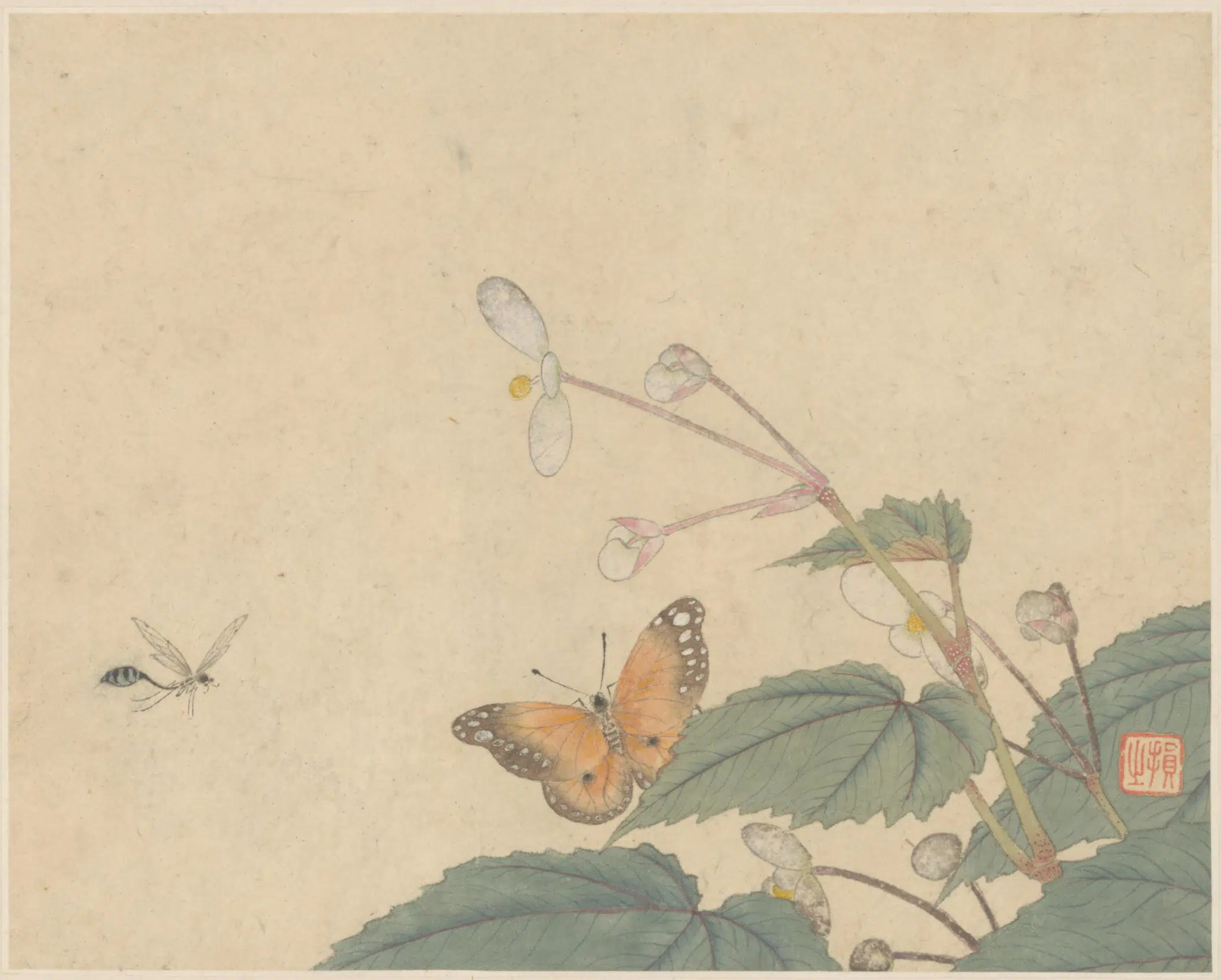 清代【损之】《金陵名笔集胜-画花蝴册页》