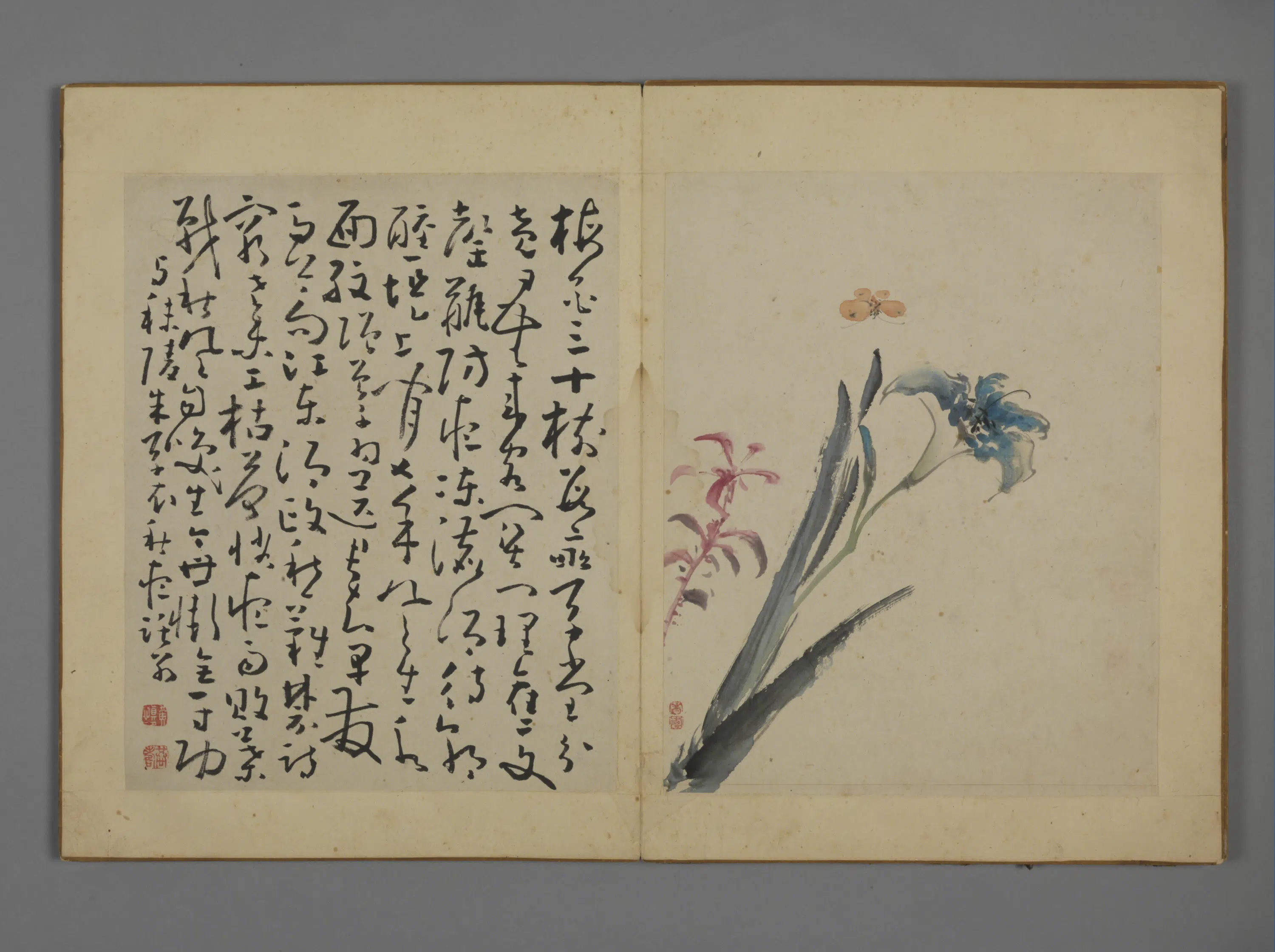 清代【黄慎】《花卉图册》 第7张