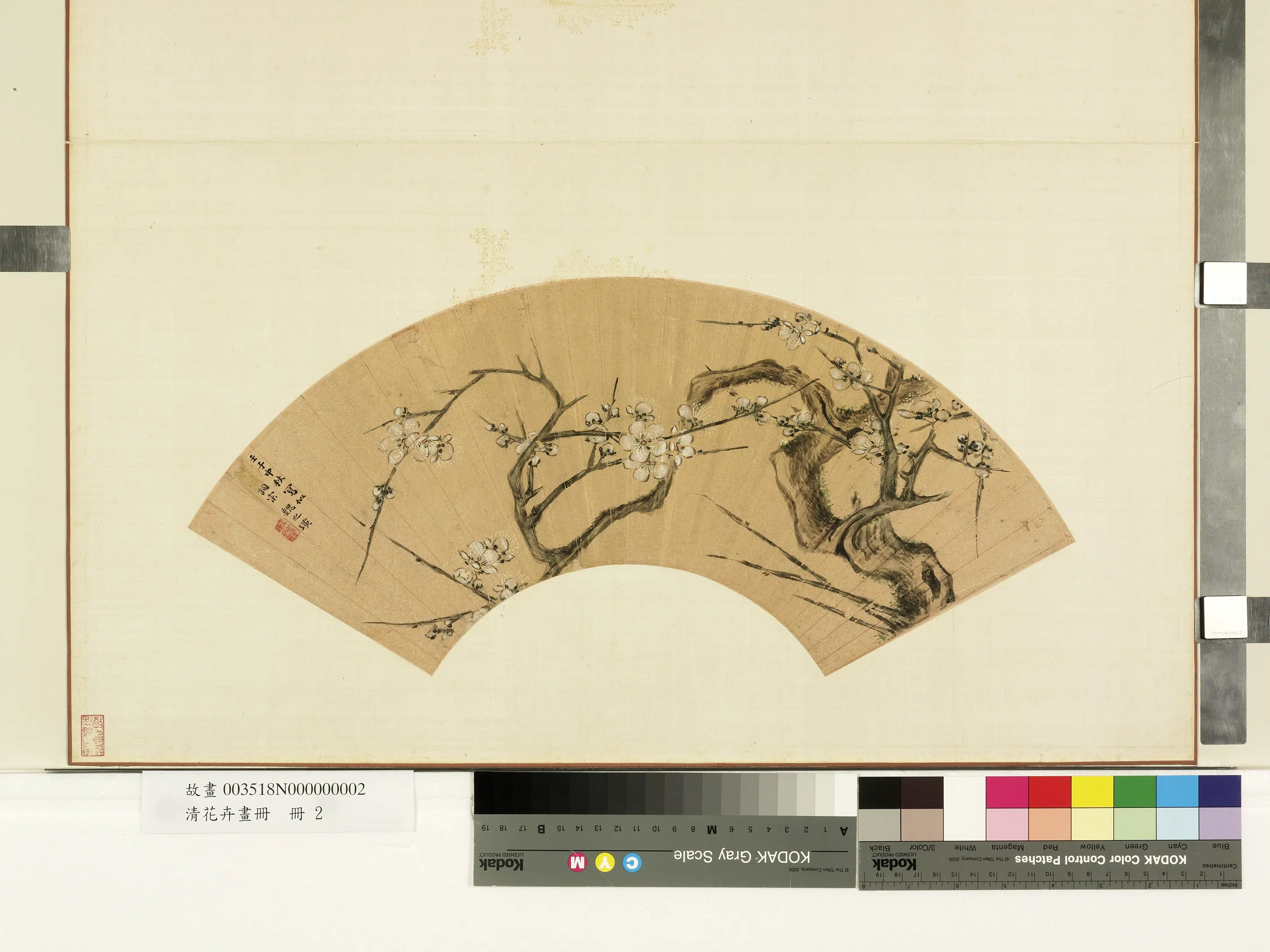 《花卉画册-4》 第11张