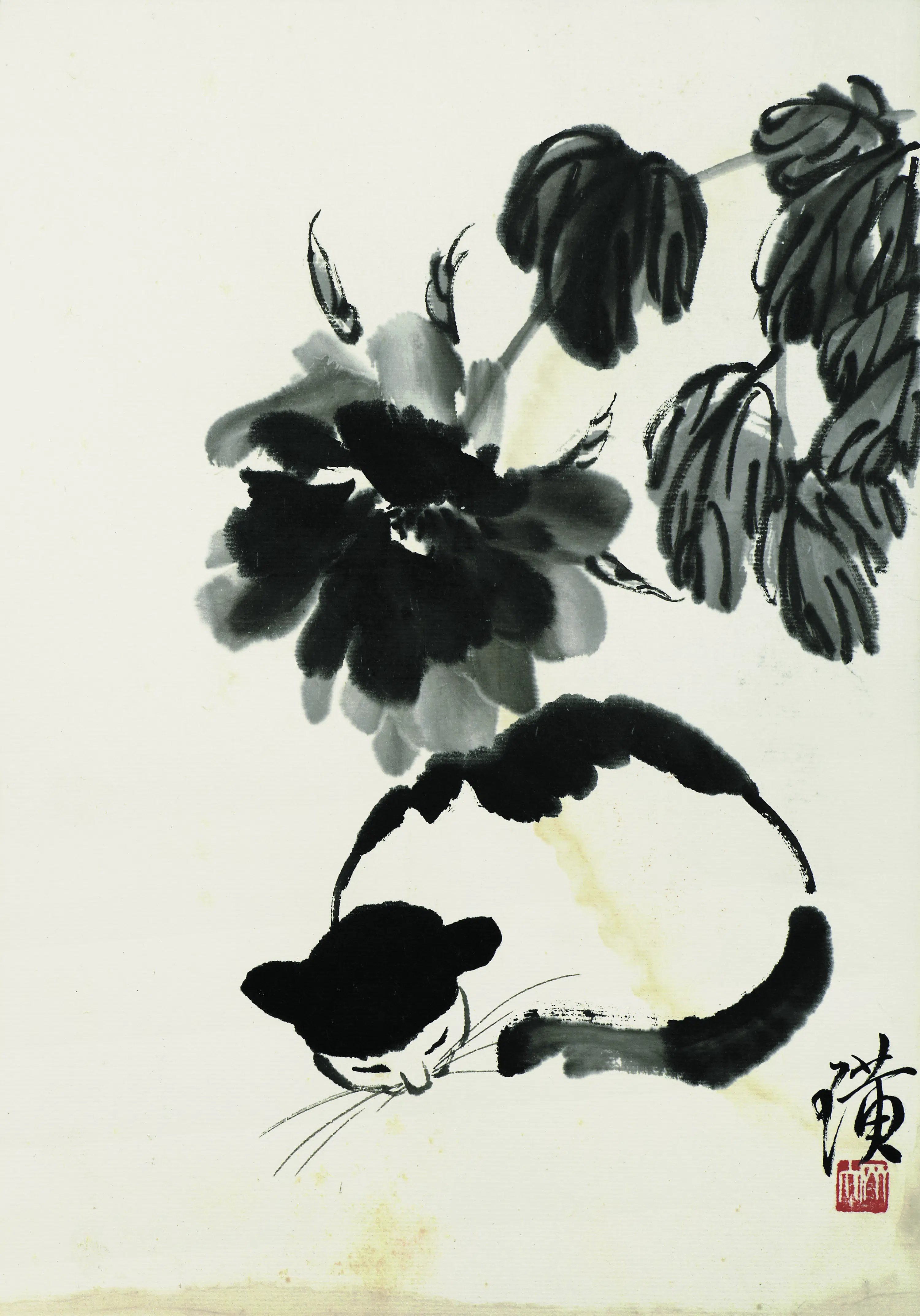 近现代【齐白石】《墨荷睡猫》