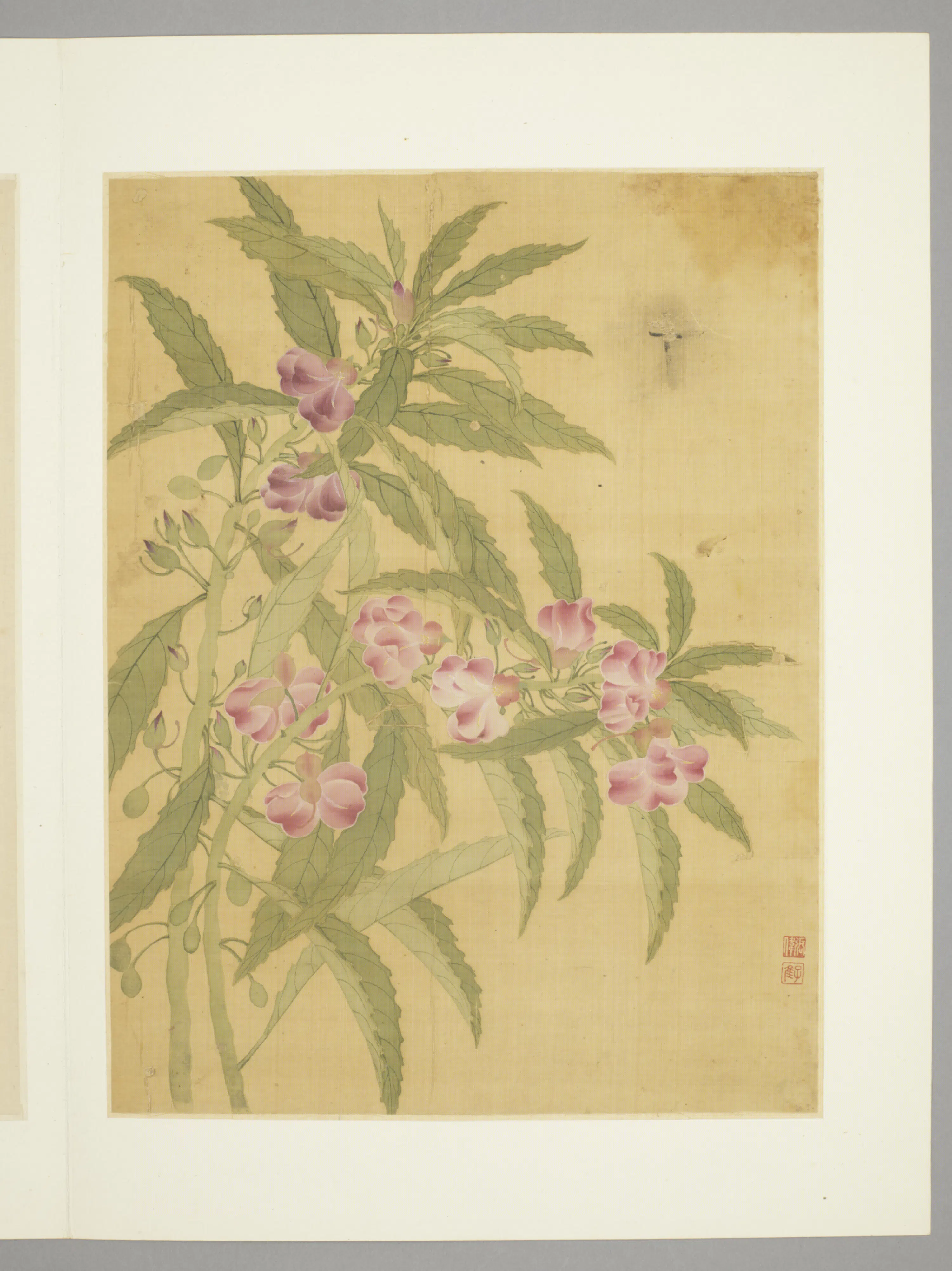 清代【张伟】《花卉册（9开）》 第8张