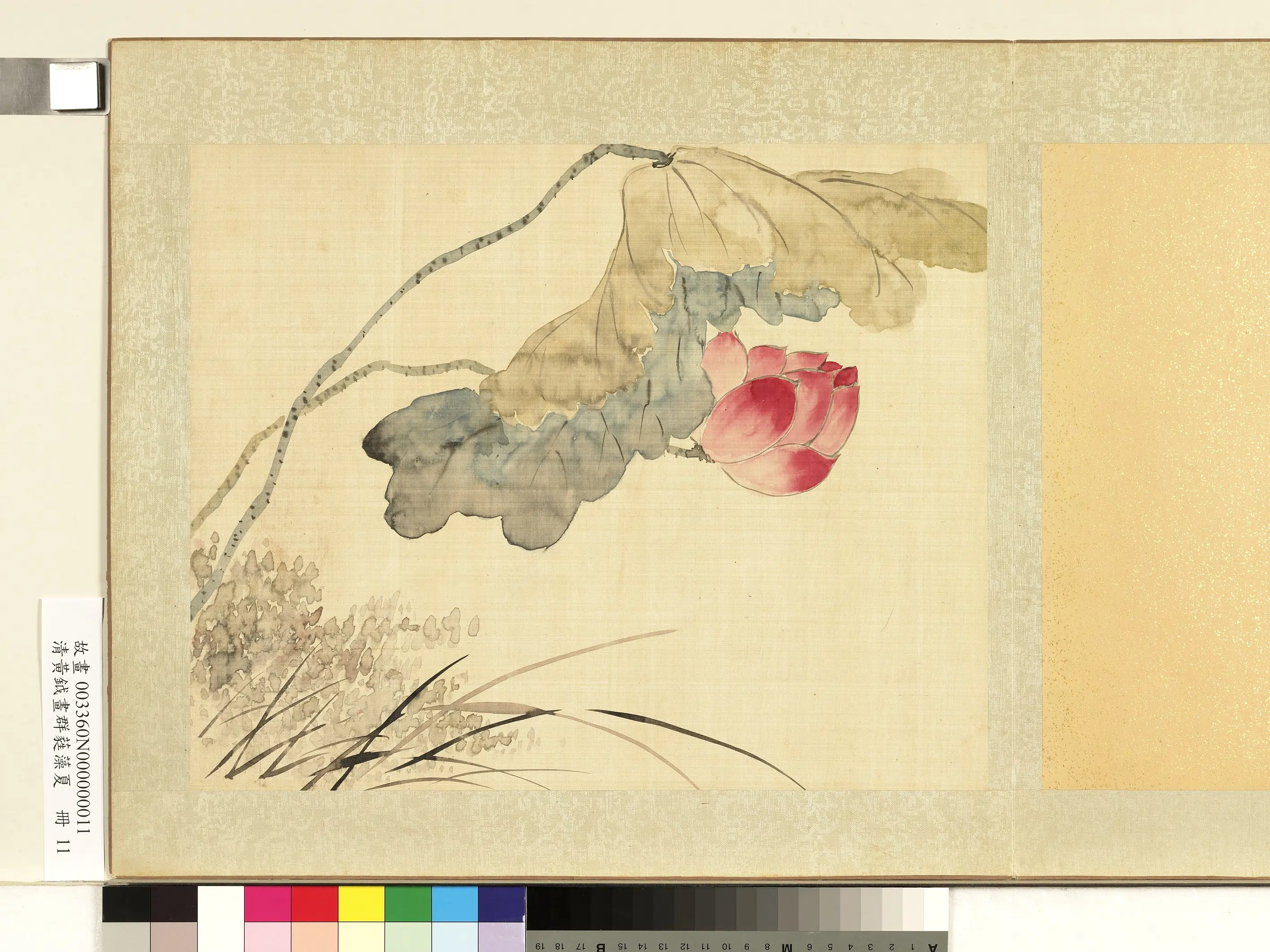 清代【黄钺】《画群蕤藻夏册》 第9张
