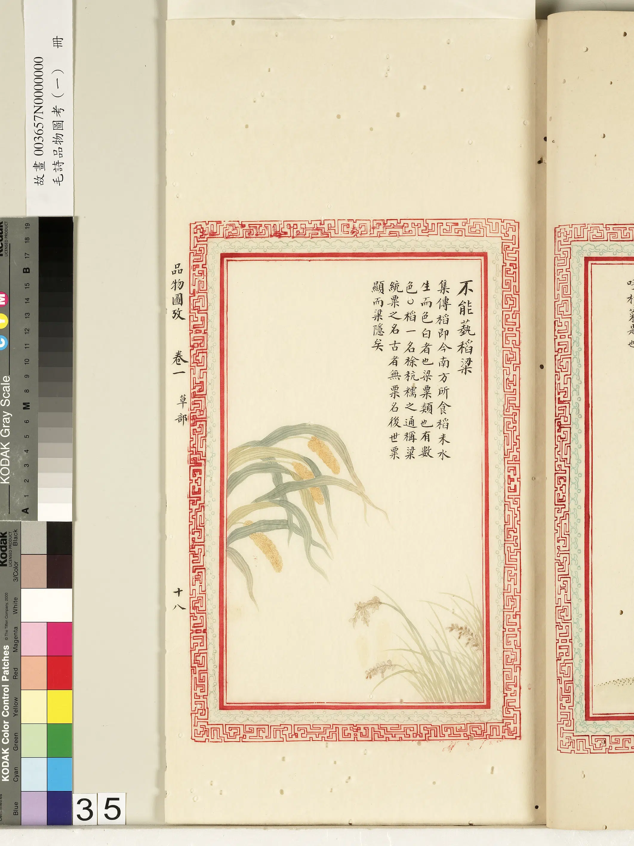 清朝《毛诗品物图考(一)册-2》 第4张 清朝《毛诗品物图考(一)册-2》 第4张