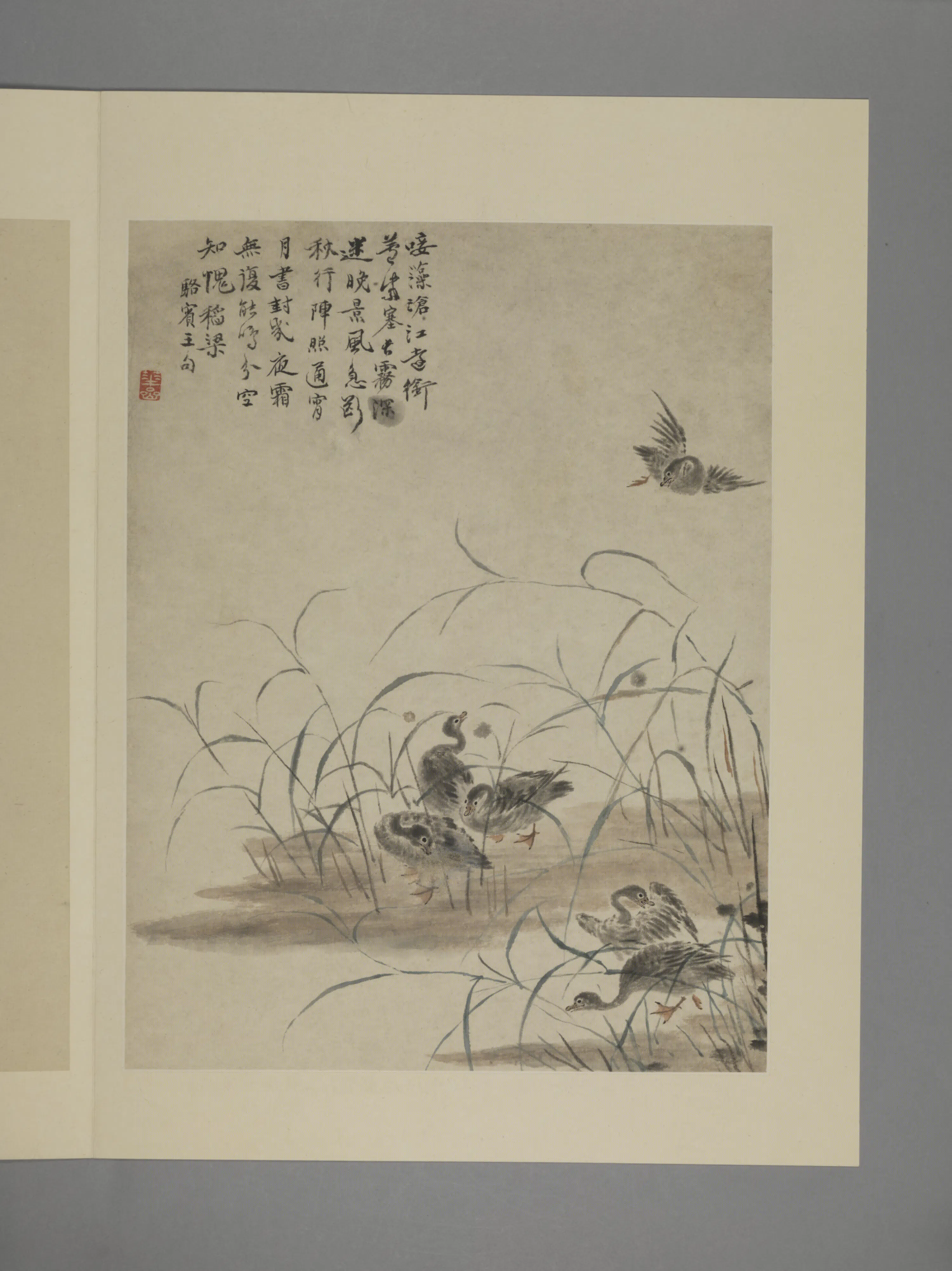 清代【华喦】《花鸟图册（11开）》 第7张