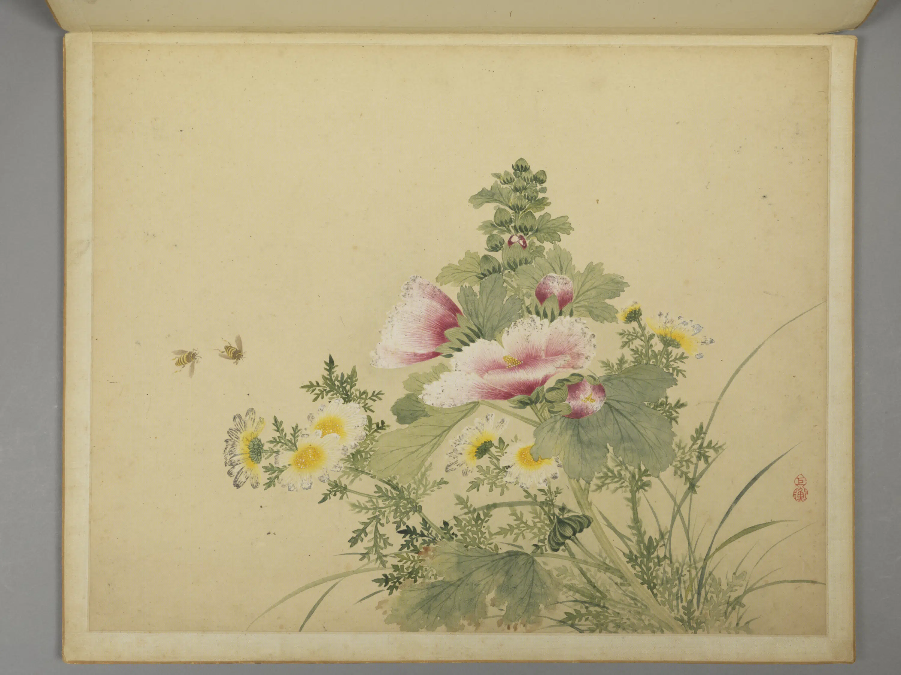 清代【周铨】《花鸟昆虫图册（12开）》 第9张