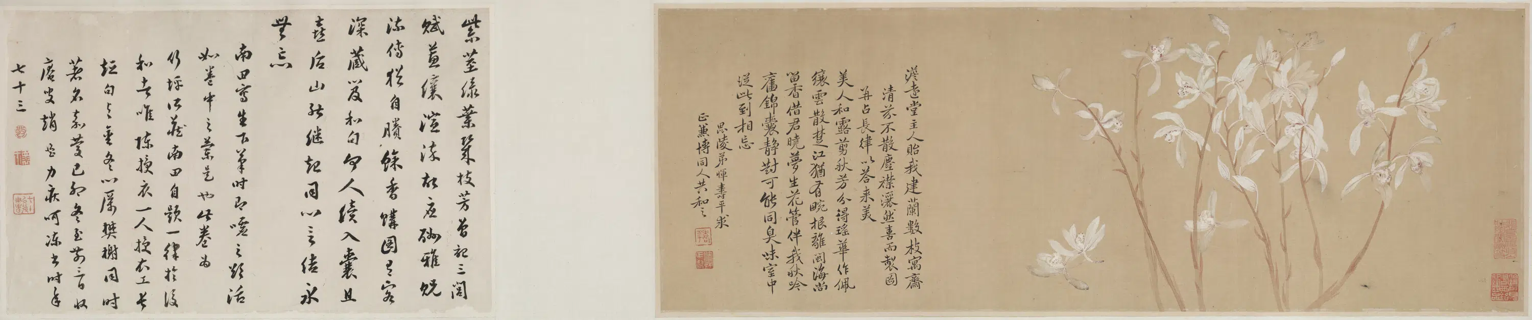 清代【恽寿平】《建兰图卷》