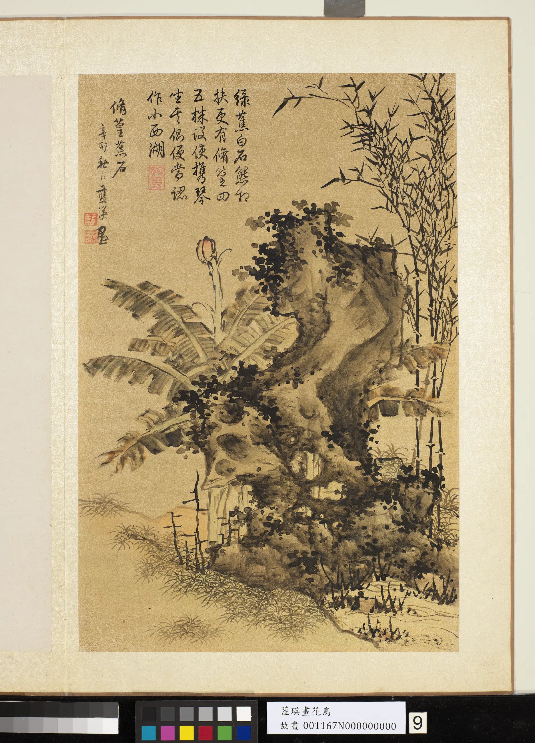明朝【蓝瑛】《画花鸟册-湖石蕉竹》
