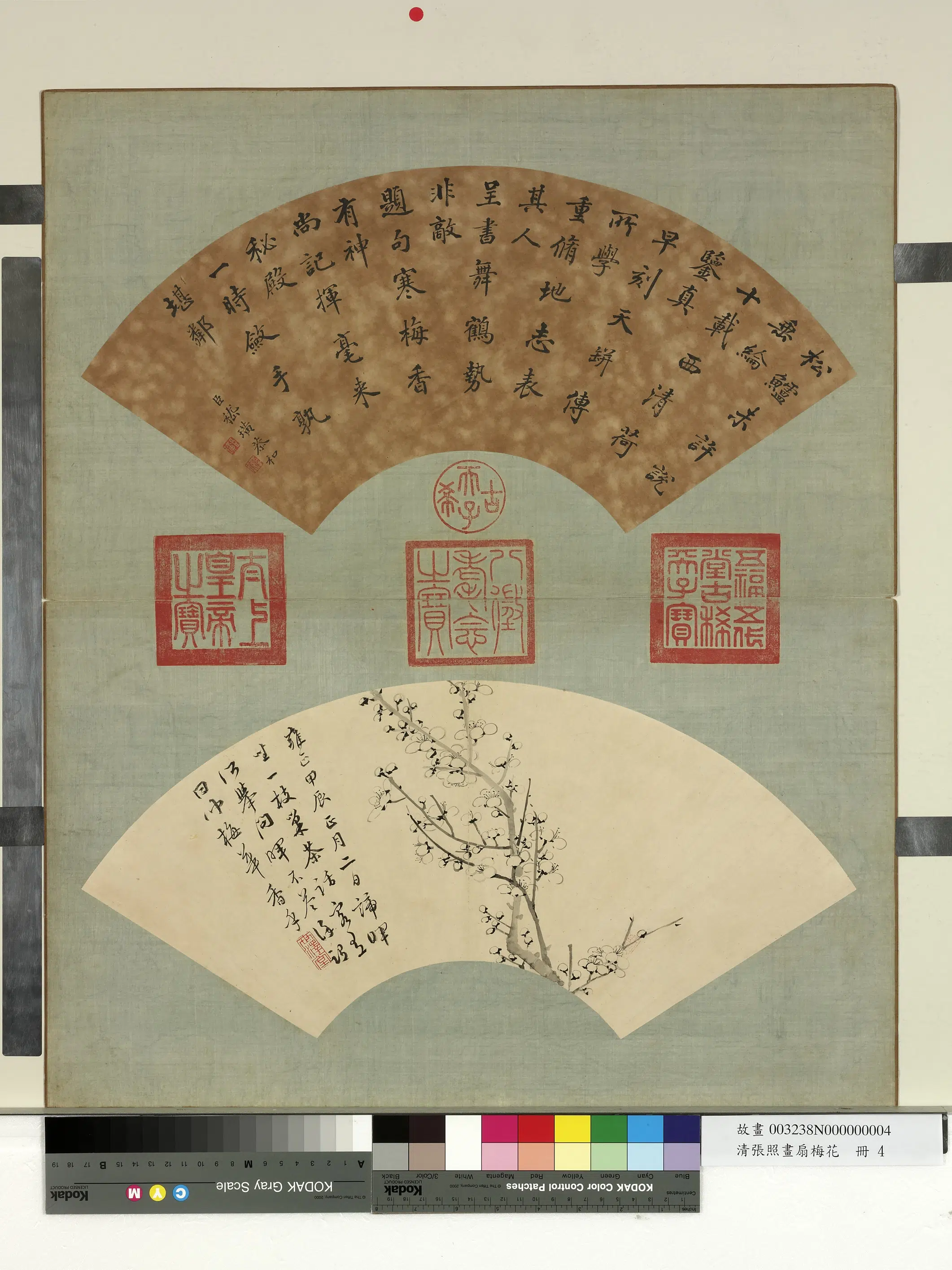 清代【张照】《画扇梅花册-梅花（四）》