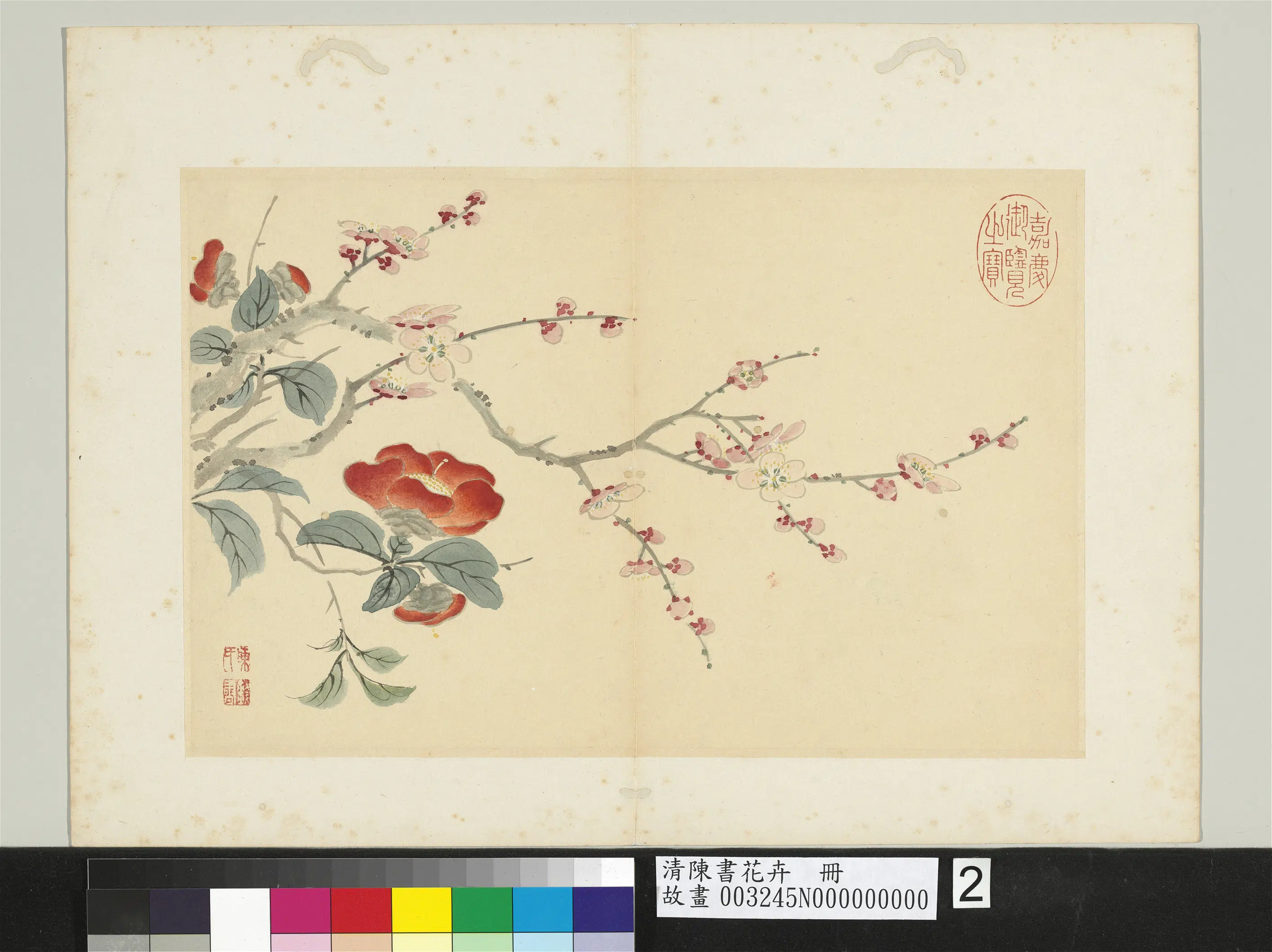 清代【陈书】《花卉册图-10开》 第8张 清代【陈书】《花卉册图-10开》 第8张