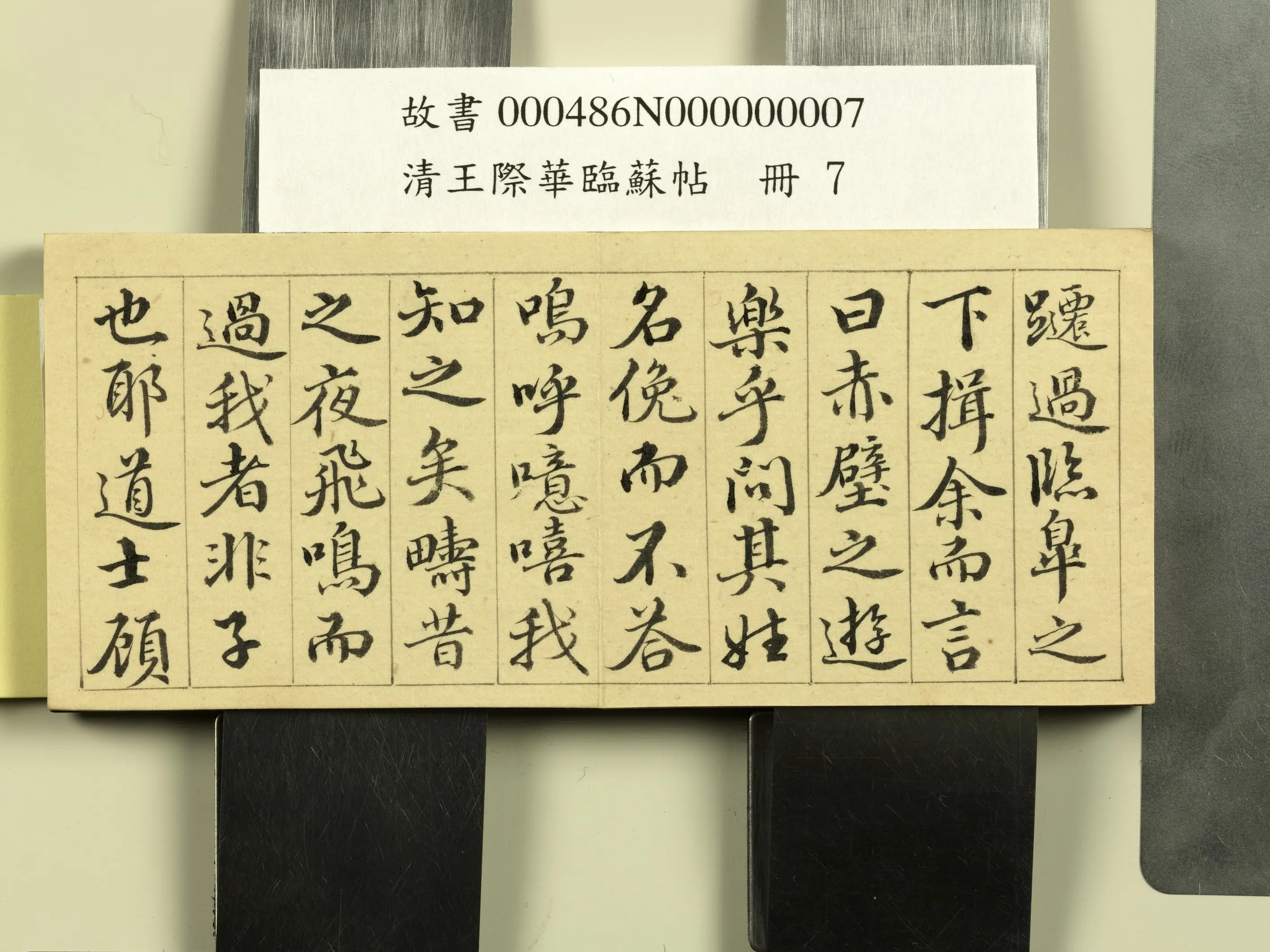 清代【王际华】《临苏帖册》 第7张