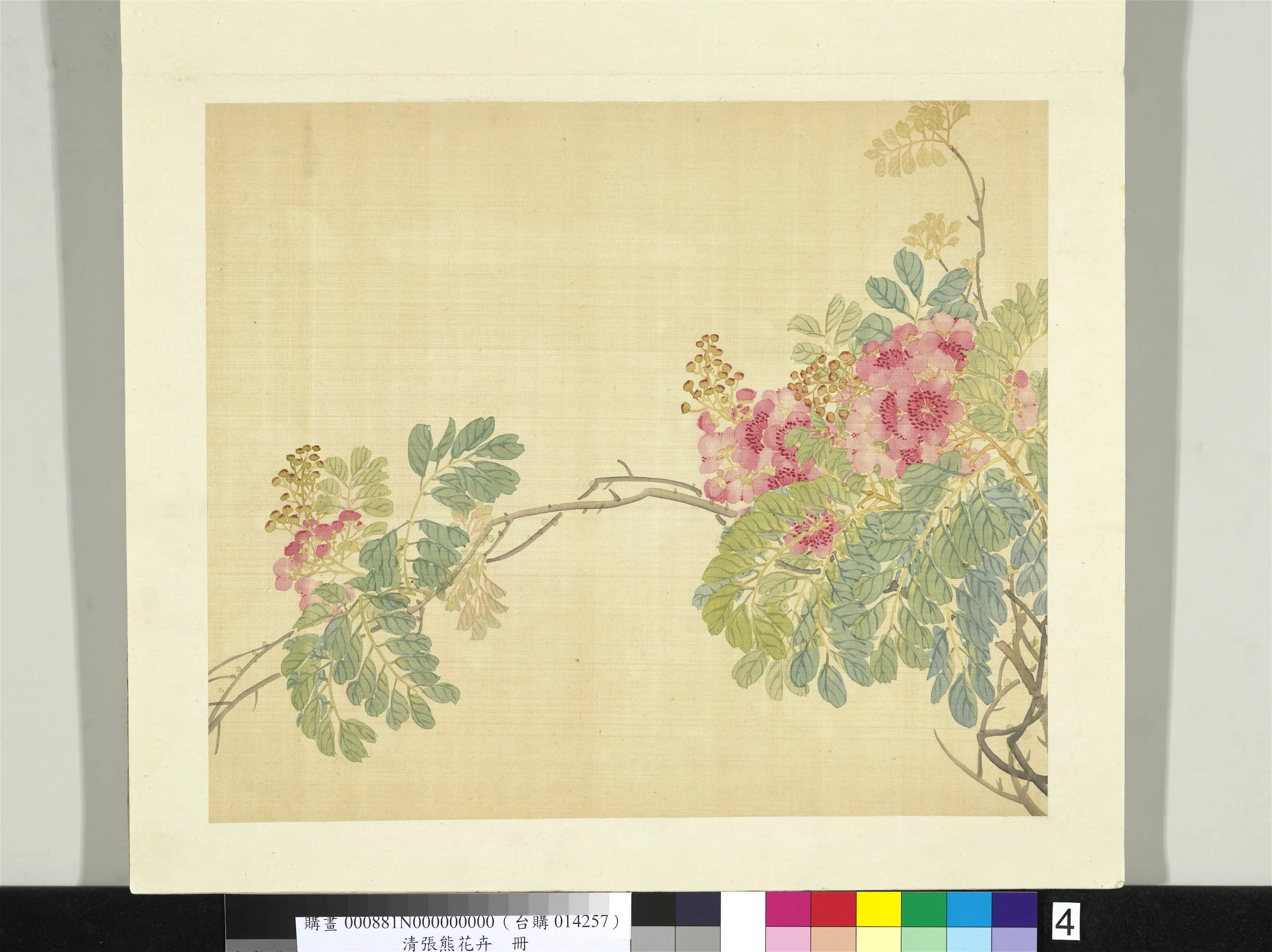 清代【张熊】《花卉册-紫薇》 第1张 清代【张熊】《花卉册-紫薇》 第1张