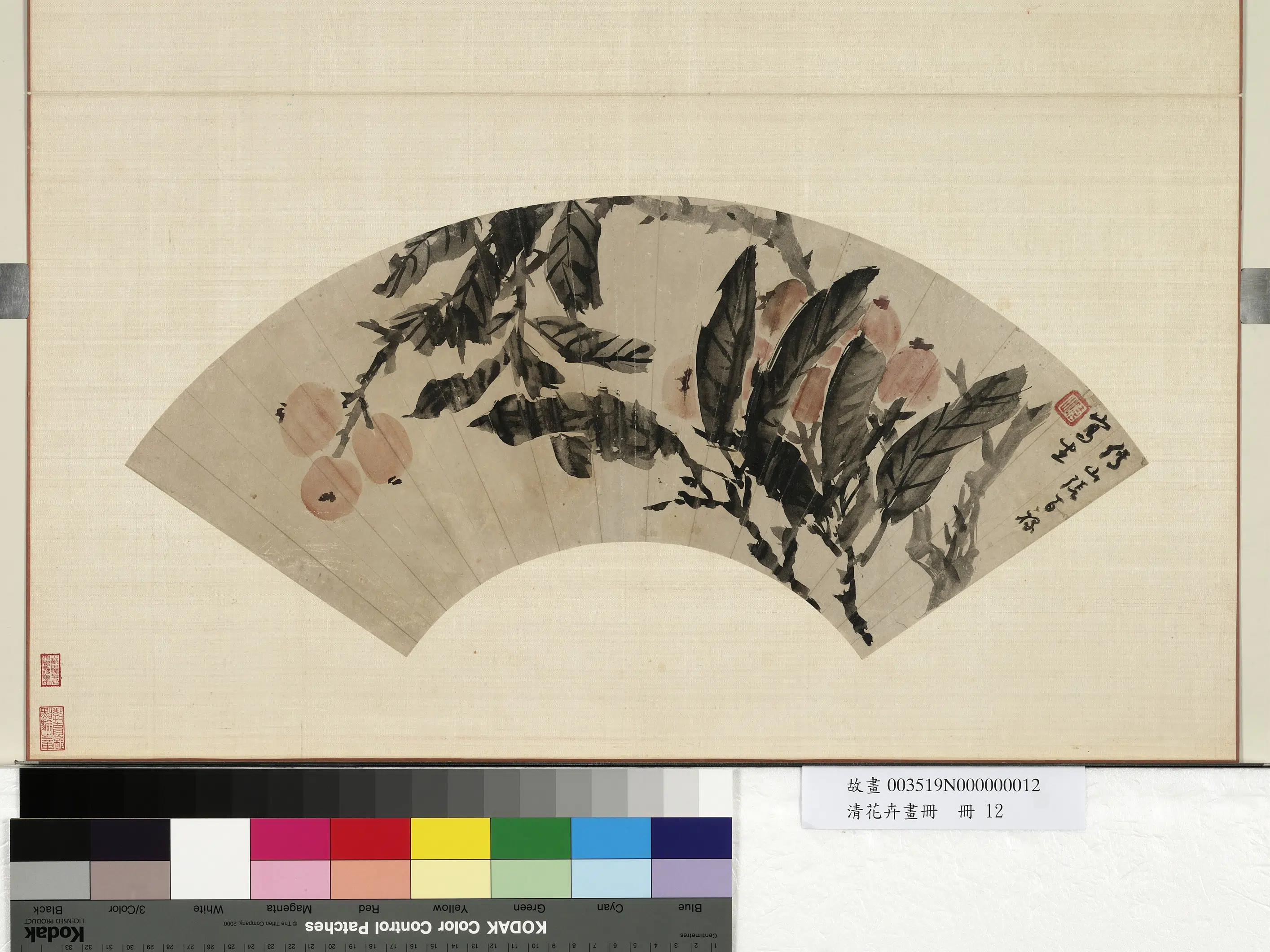 清朝【张百禄】《花卉画册-枇杷》 第1张