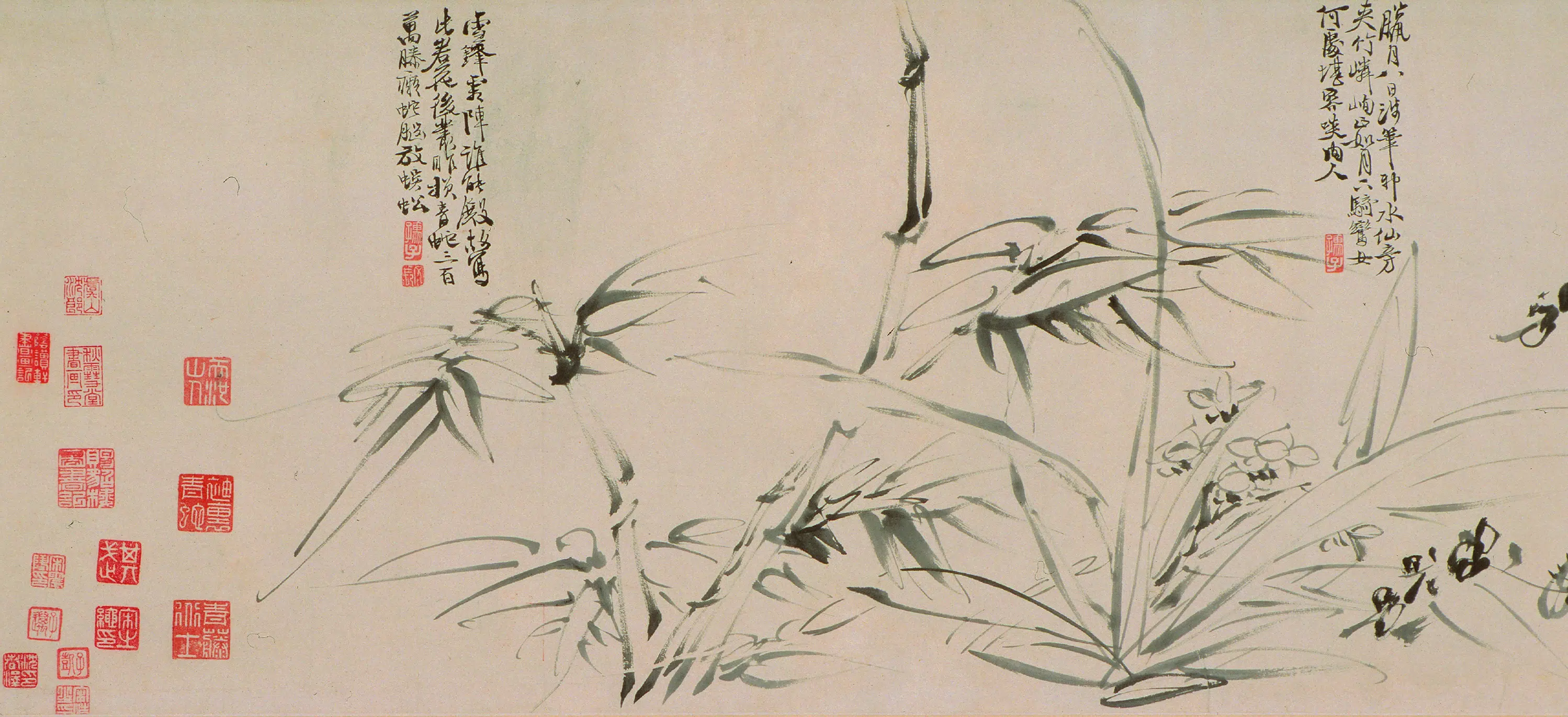 明朝【徐渭】《花卉图卷》
