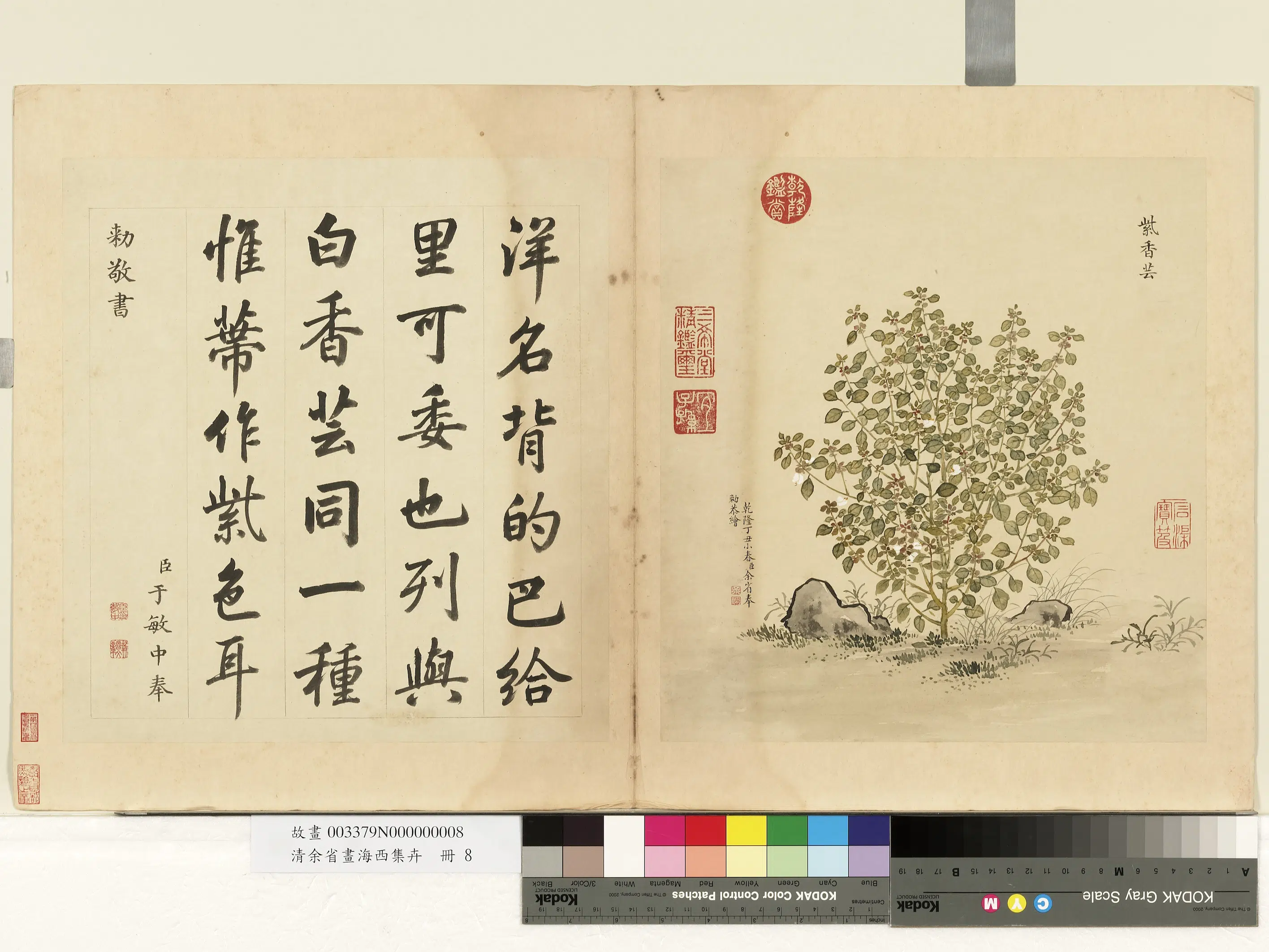 清代【余省】《画海西集卉册》 第6张