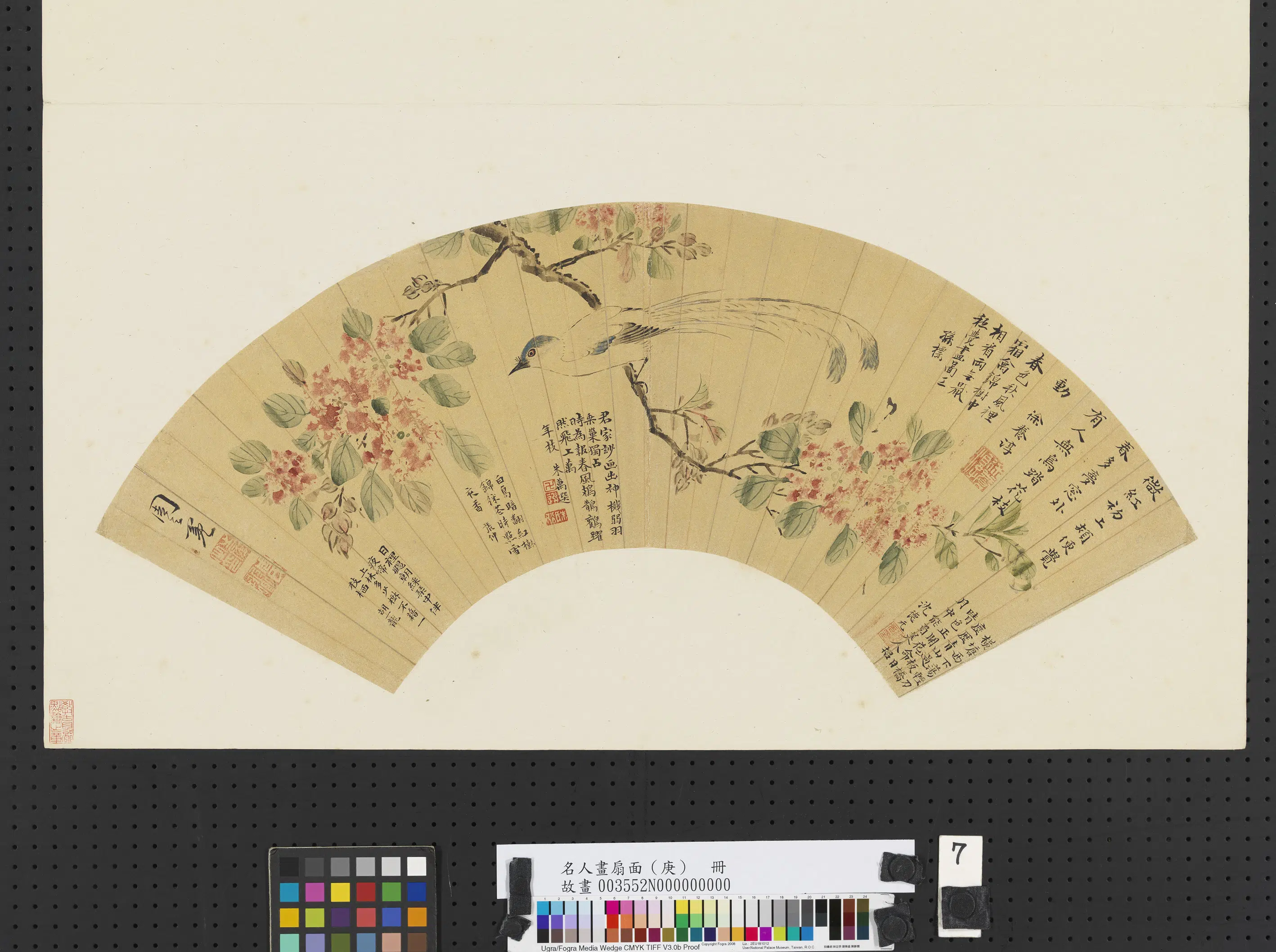 明朝【周之冕】《紫薇寿带图-名人画扇面（庚）册》
