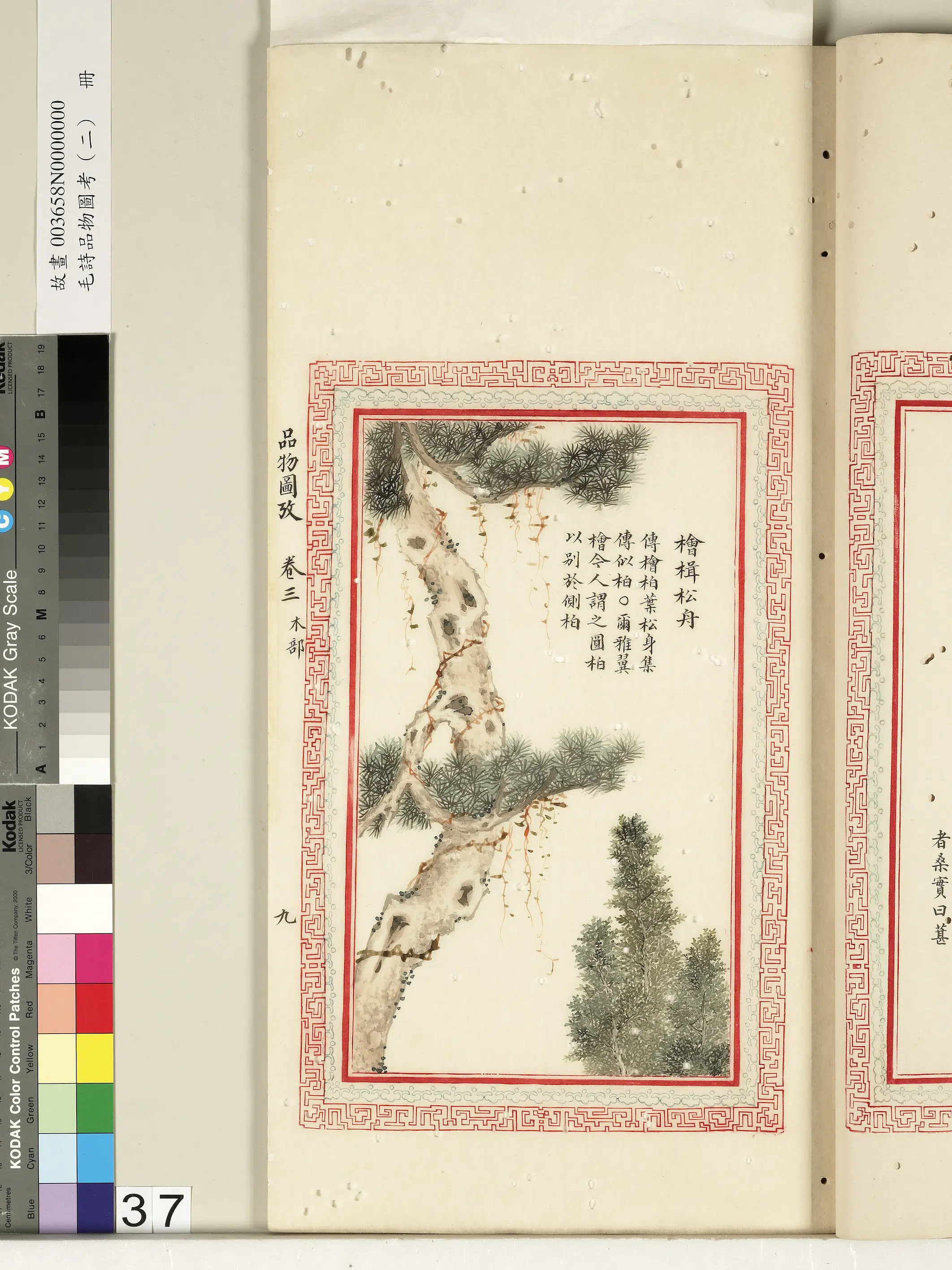 清代《毛诗品物图考（二）册-2》 第32张