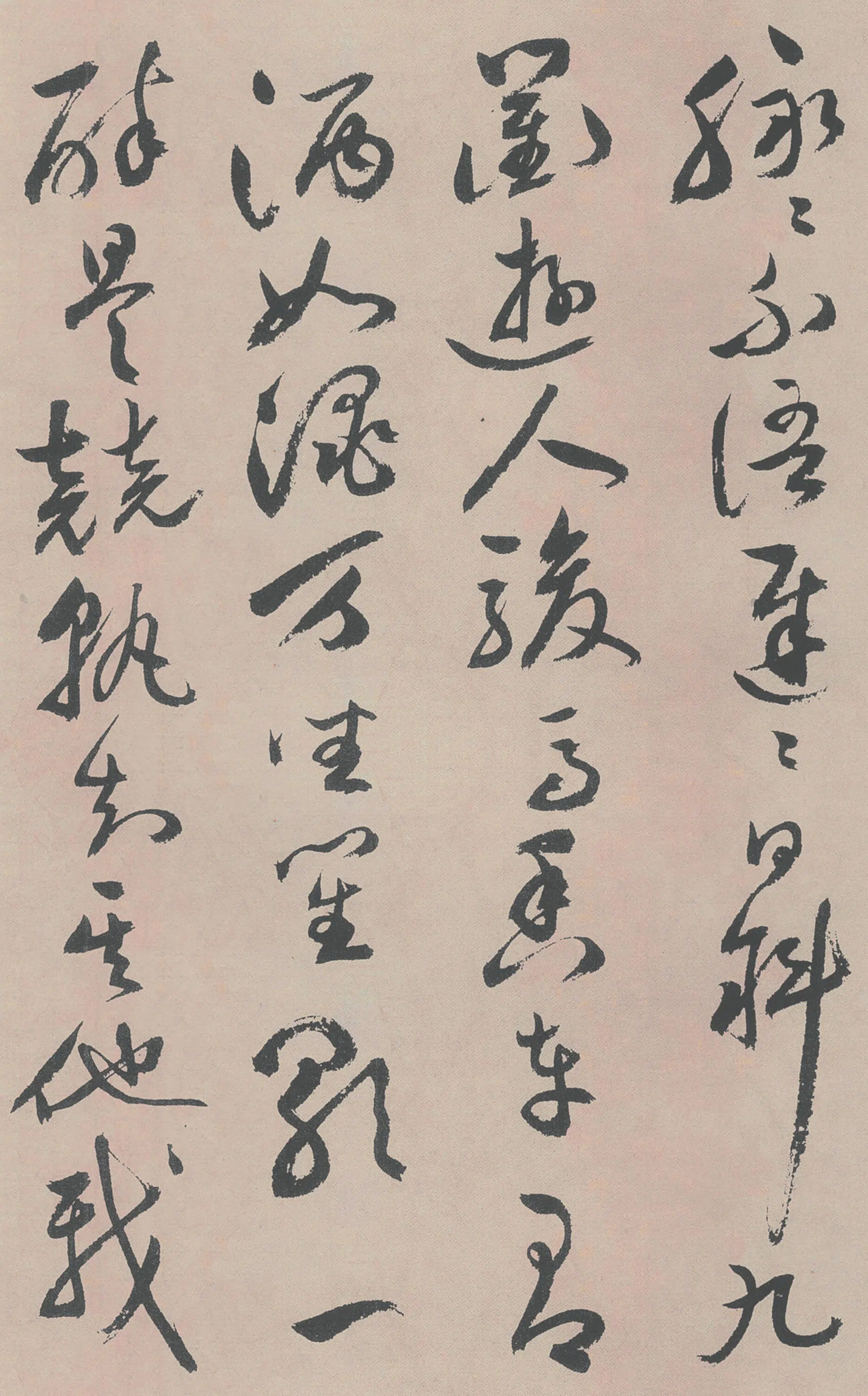 明朝【祝允明】《牡丹赋》 第16张