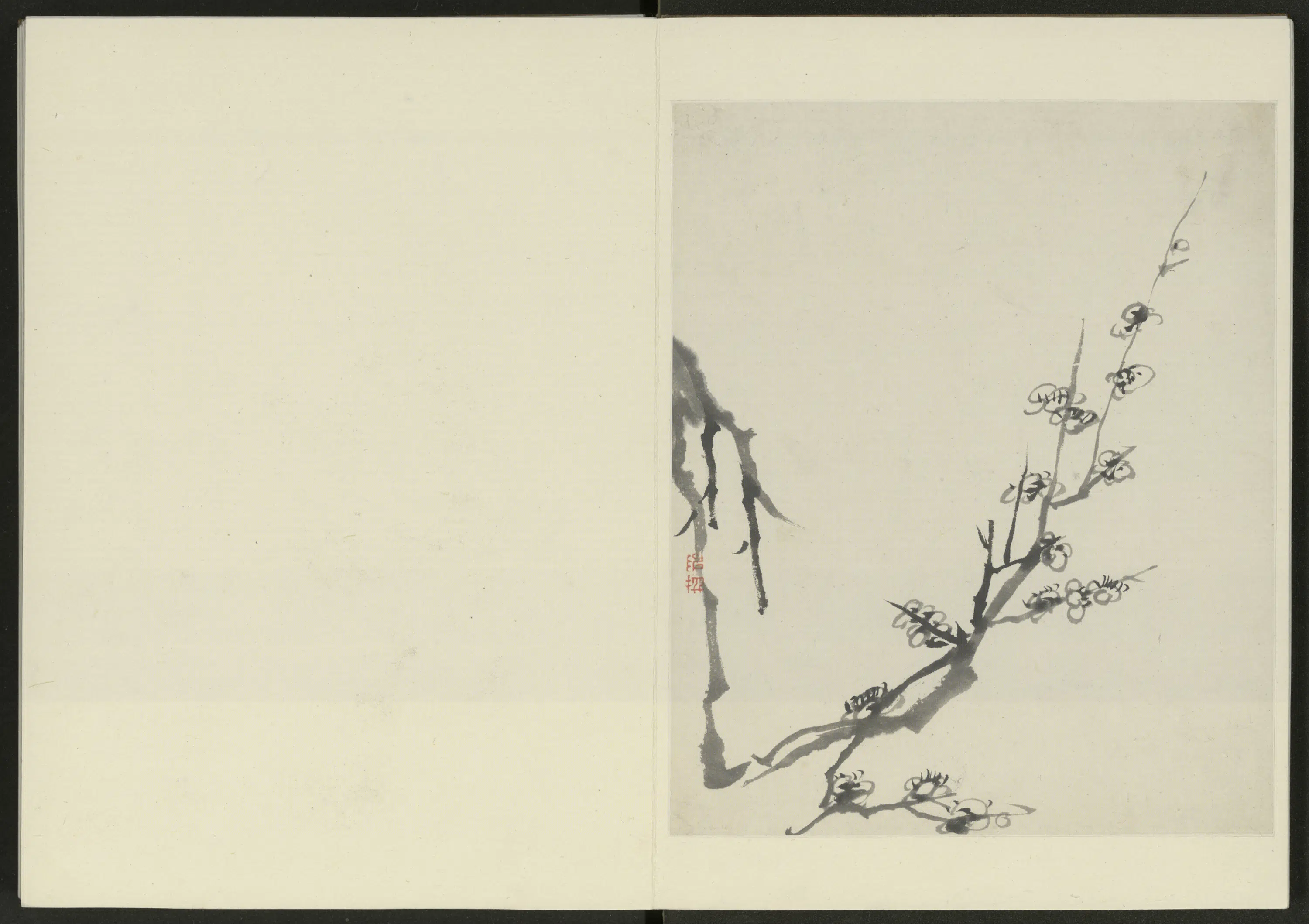 清代【陈撰】《花卉册（12开）》 第5张
