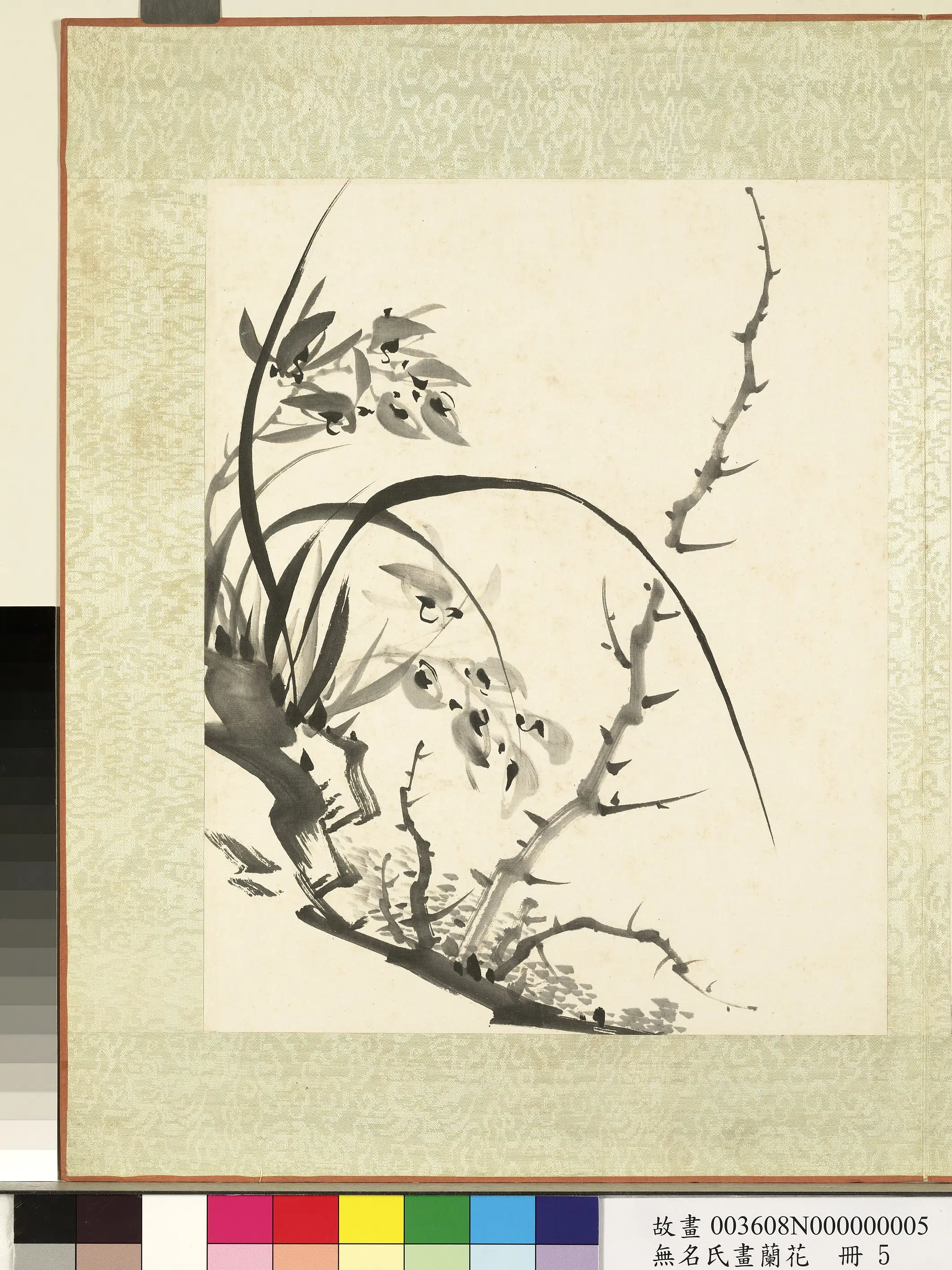 《无名氏画兰花册-兰花（十）》