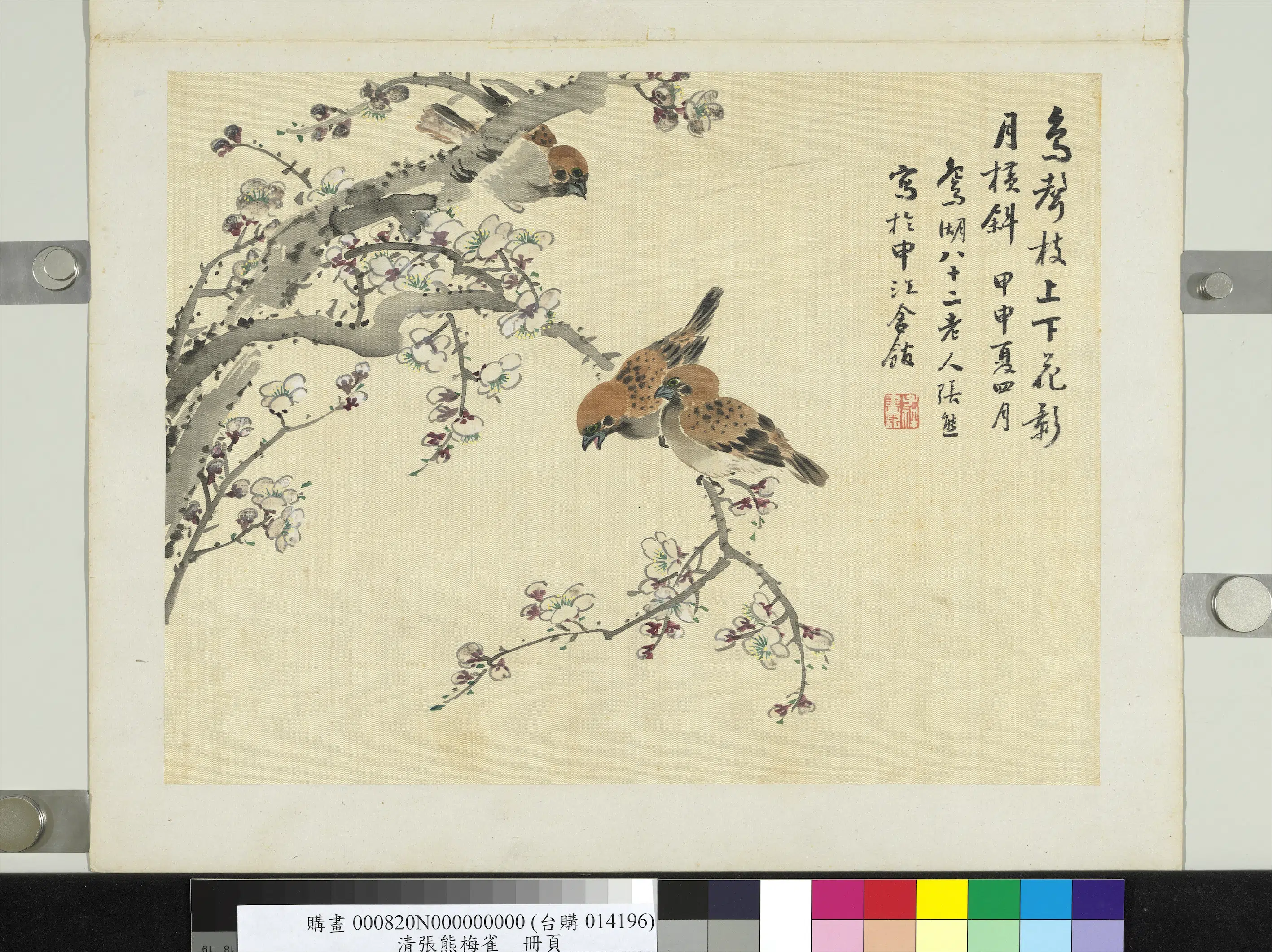 清代【张熊】《梅雀册页》