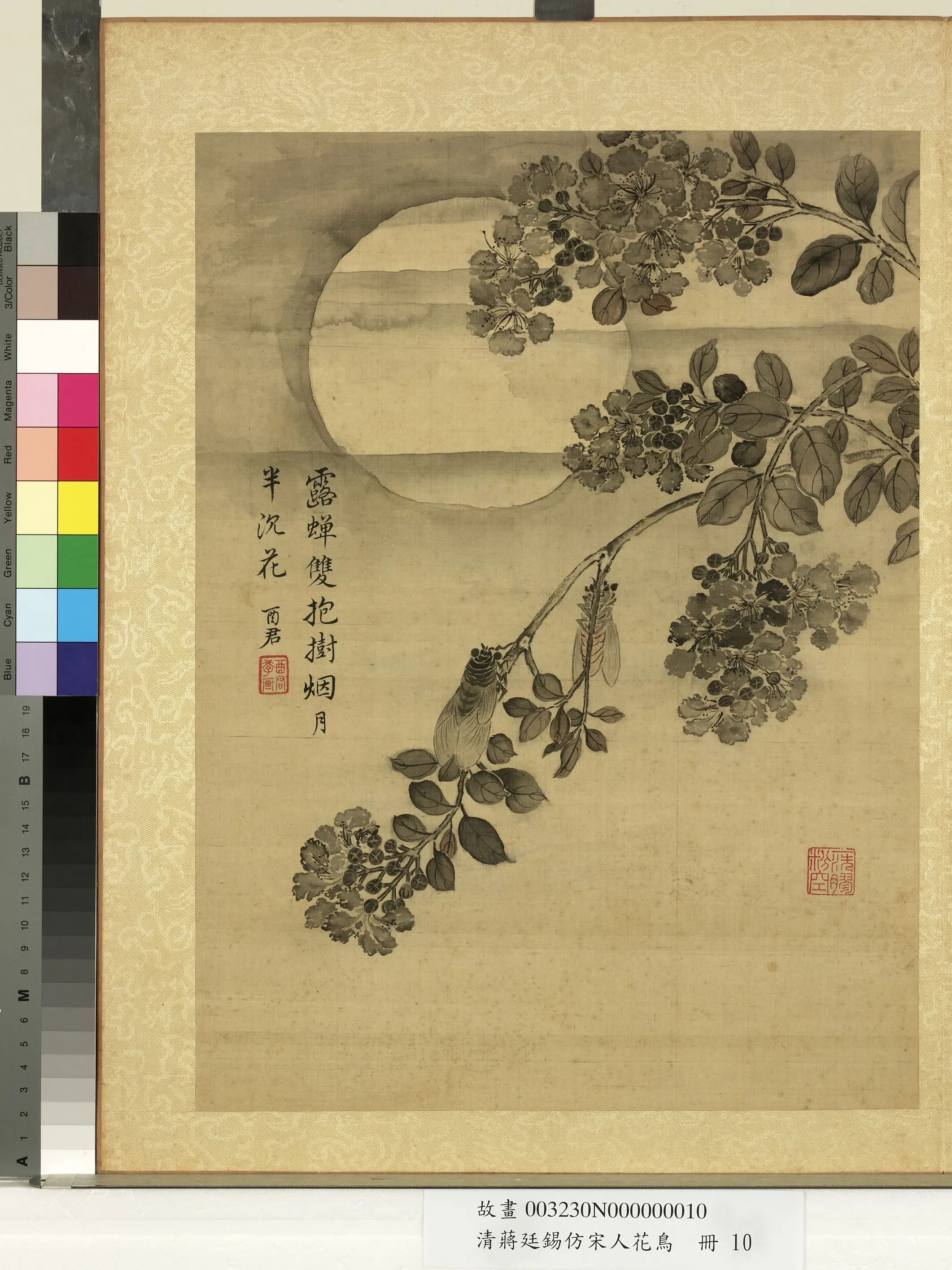 清代【蒋廷锡】《仿宋人花鸟册-蝉鸣紫薇》