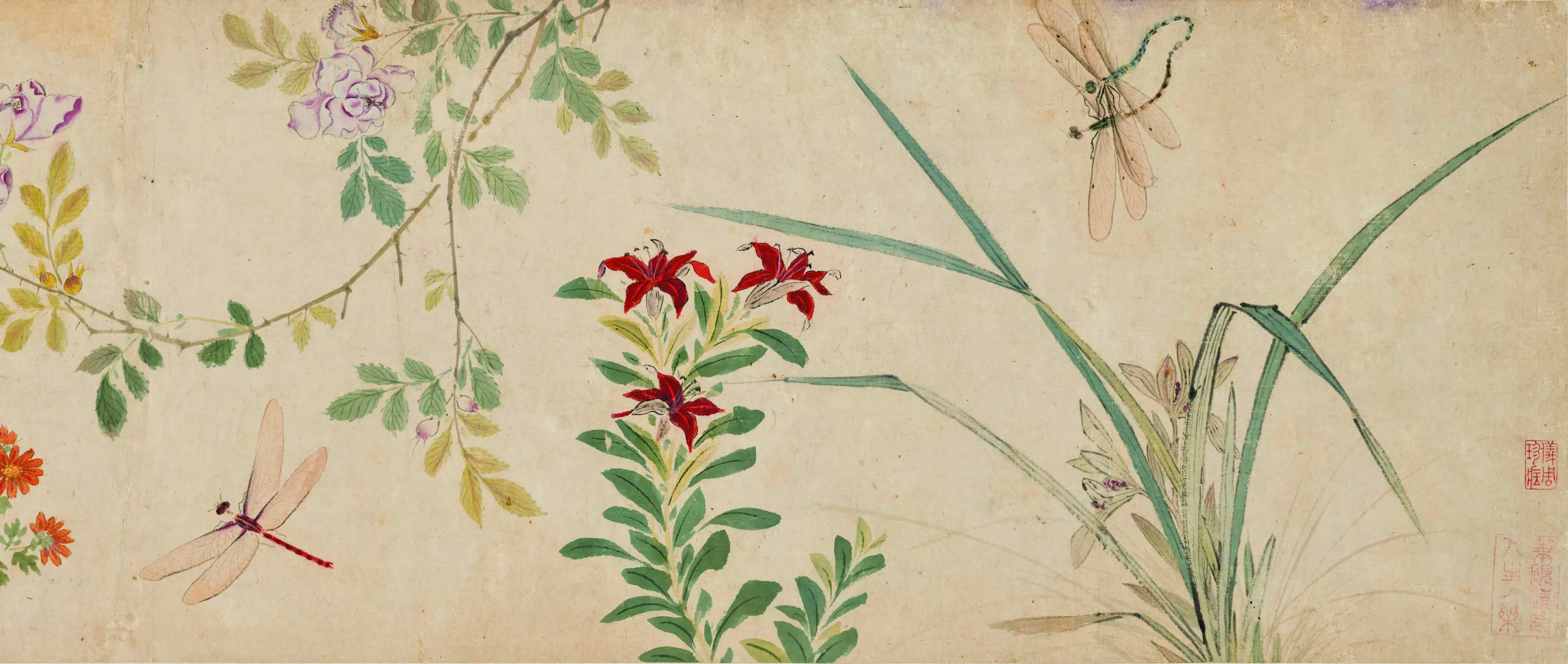 明朝【陆治】《花蝶草虫卷》 第4张 明朝【陆治】《花蝶草虫卷》 第4张