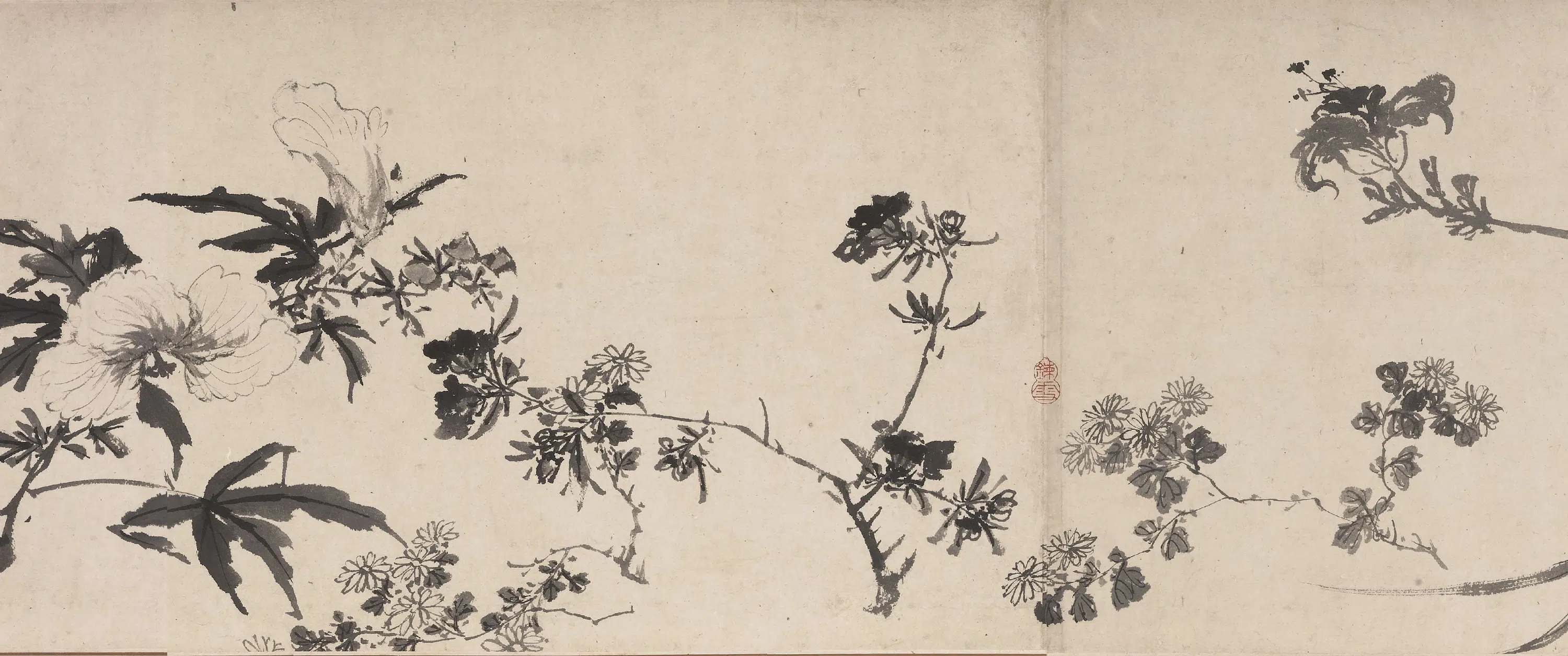 明朝【陈淳（道复）】《花卉图卷-2》 第2张