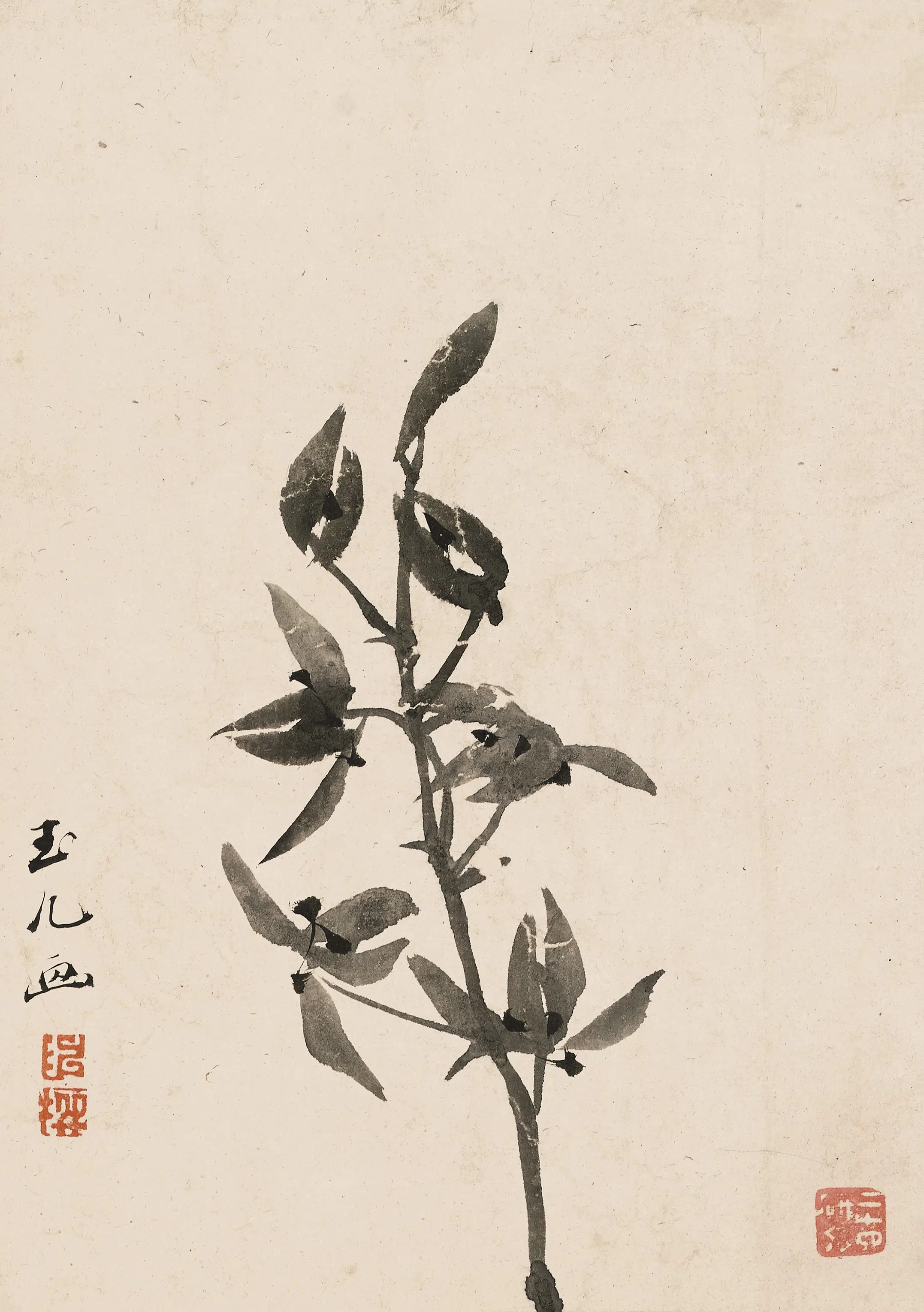 清代【陈撰】《果品花卉图册》 第2张 清代【陈撰】《果品花卉图册》 第2张