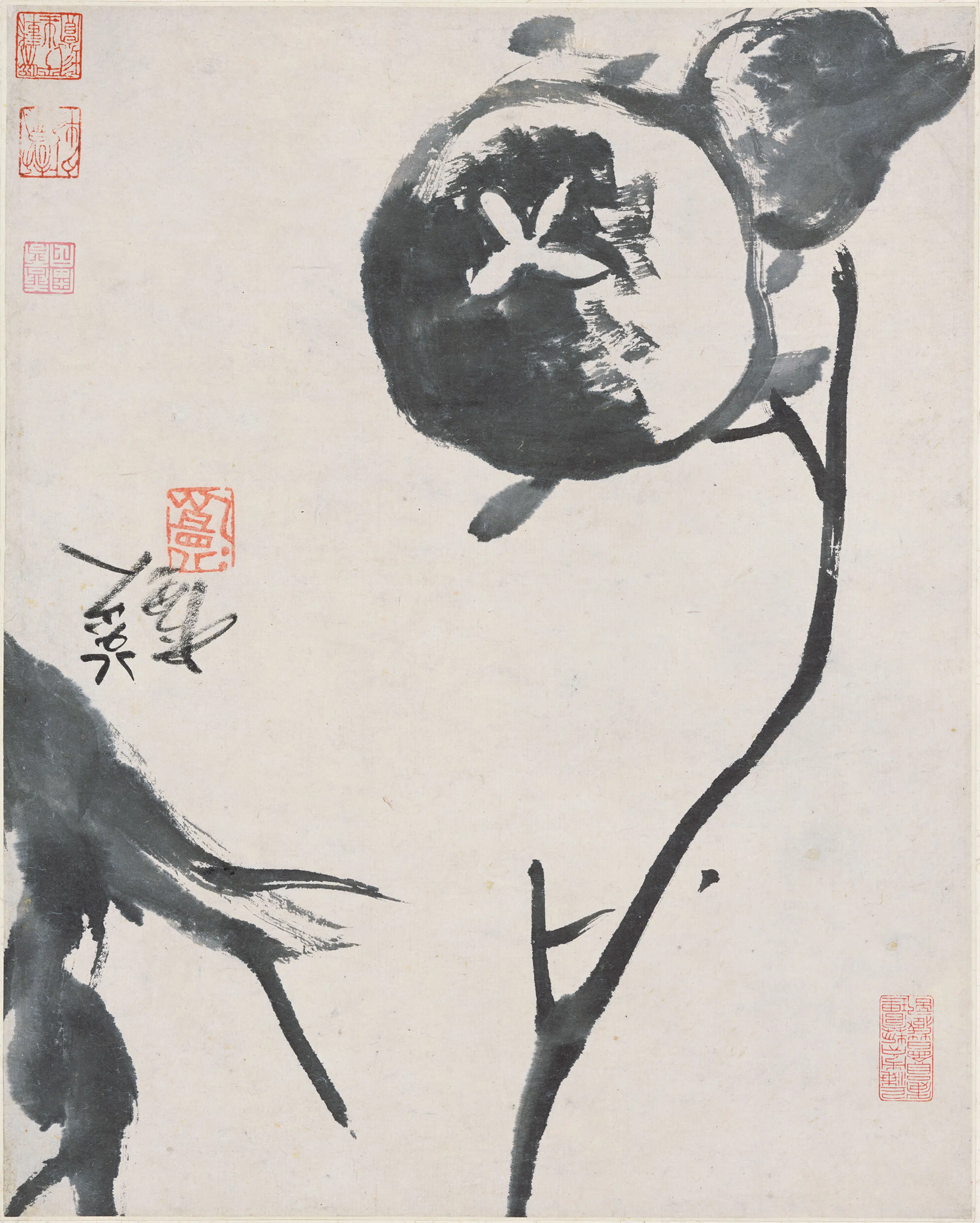 清代【朱耷】《石榴图散页》