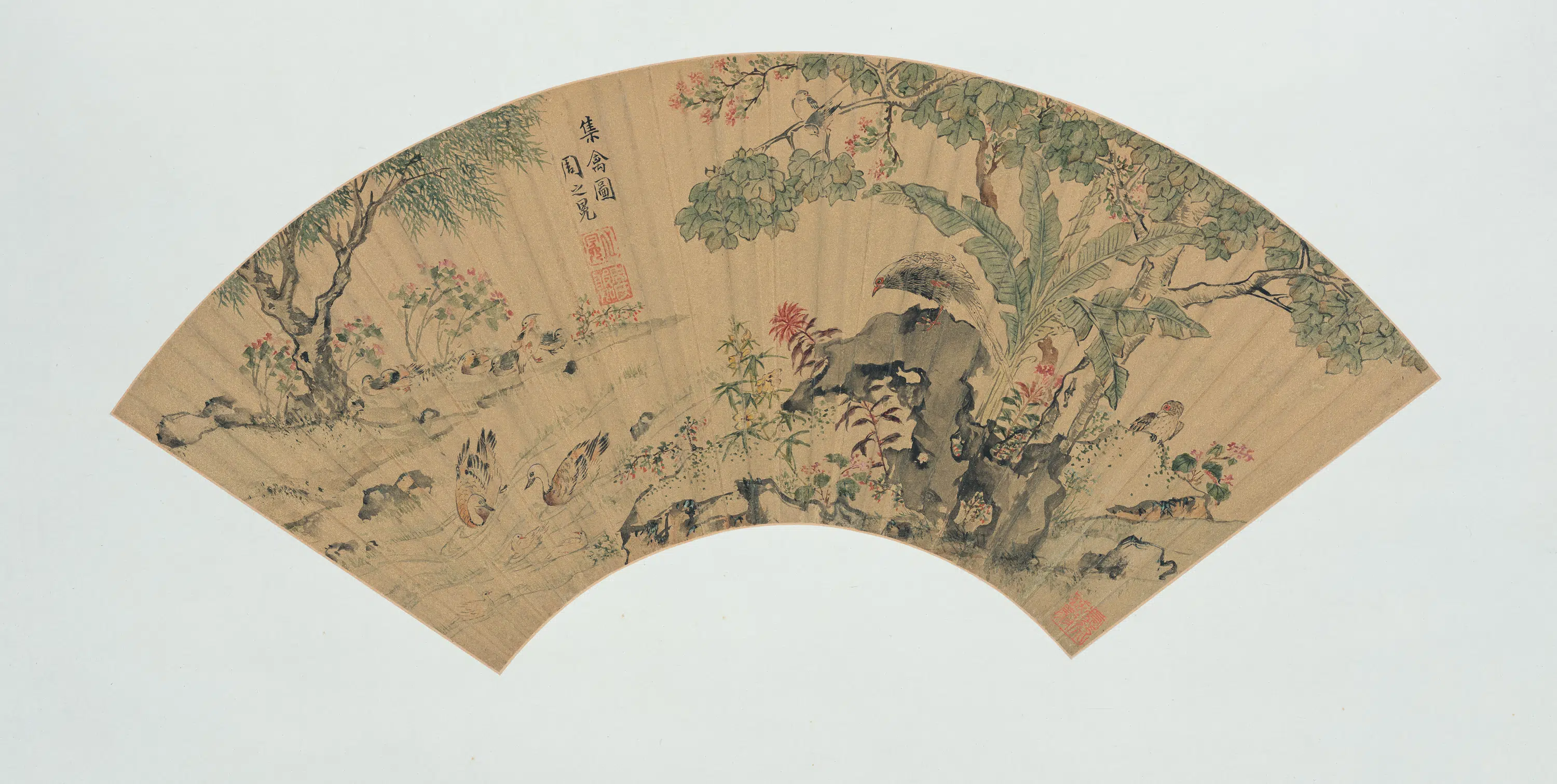 明朝【周之冕】《花鸟扇册-1》