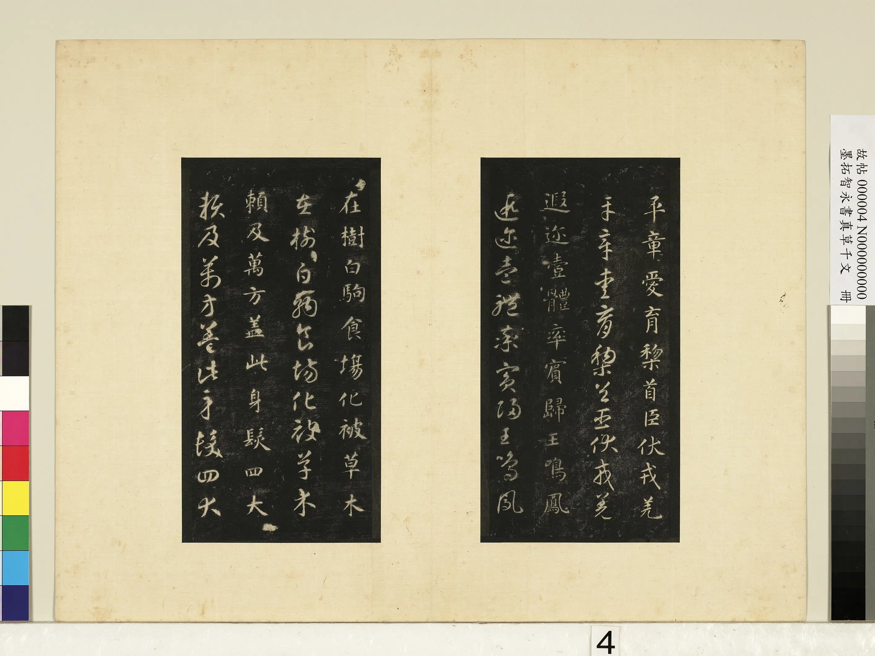 唐朝【释智永】《墨拓智永书真草千文册》 第22张