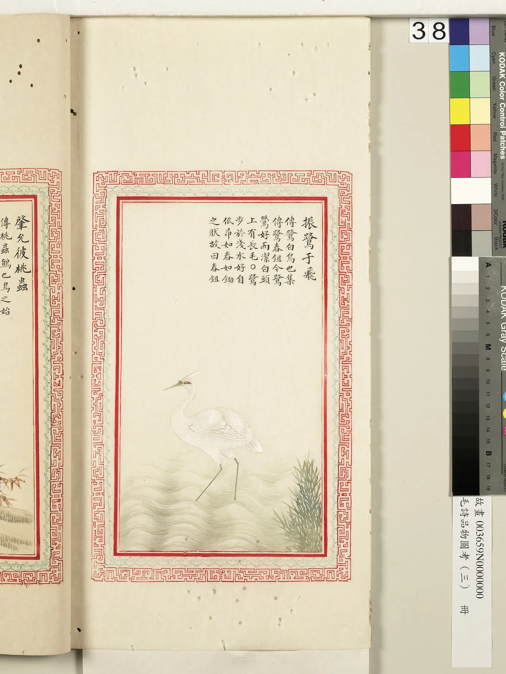 清代《毛诗品物图考（三）册-2》 第20张