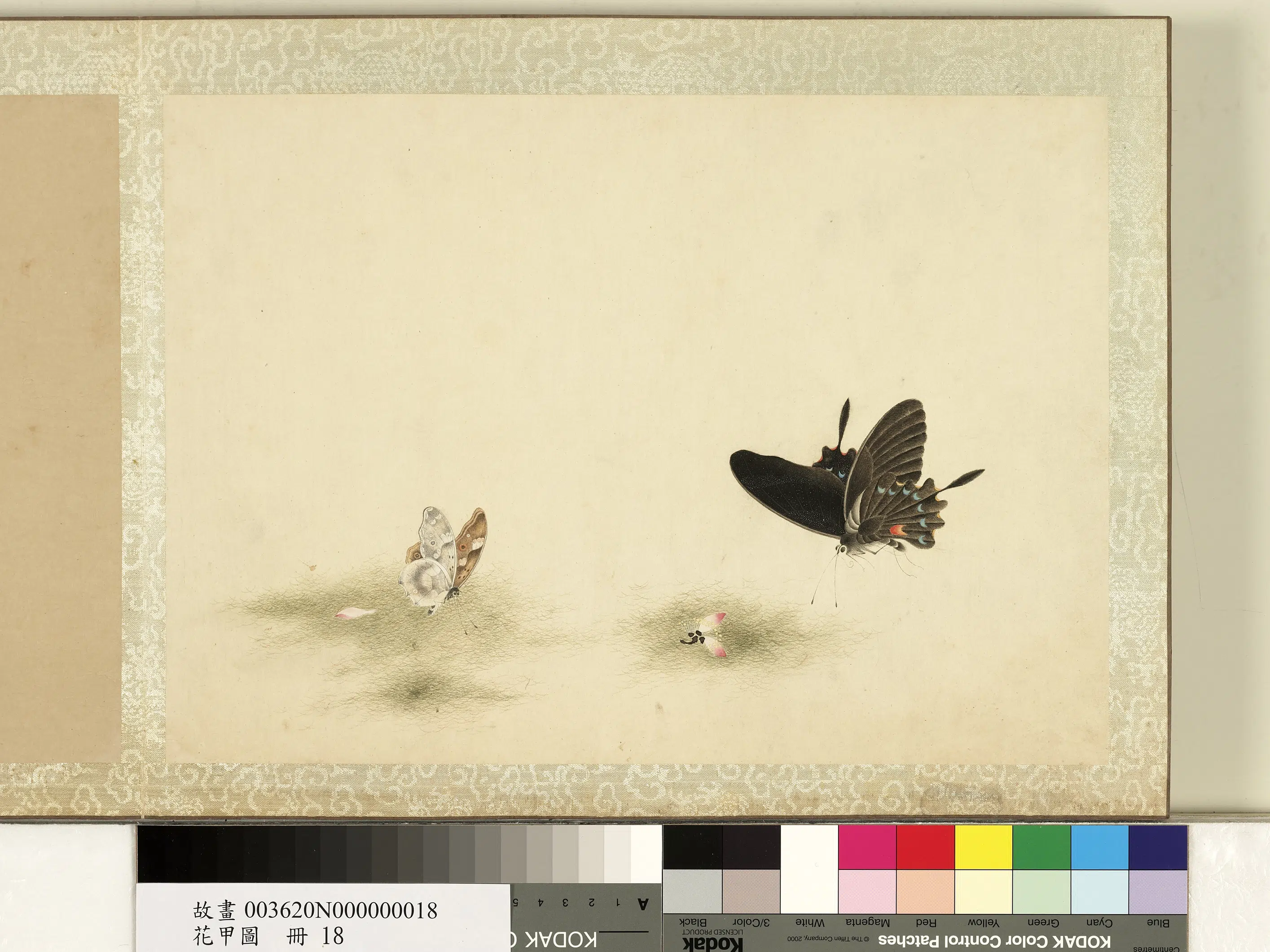 《花甲图册》 第15张 《花甲图册》 第15张