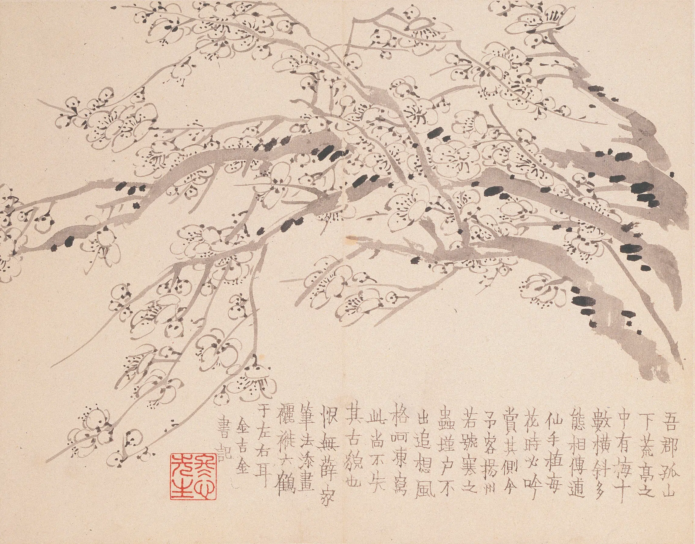 清代【金农】《墨梅图册》 第16张
