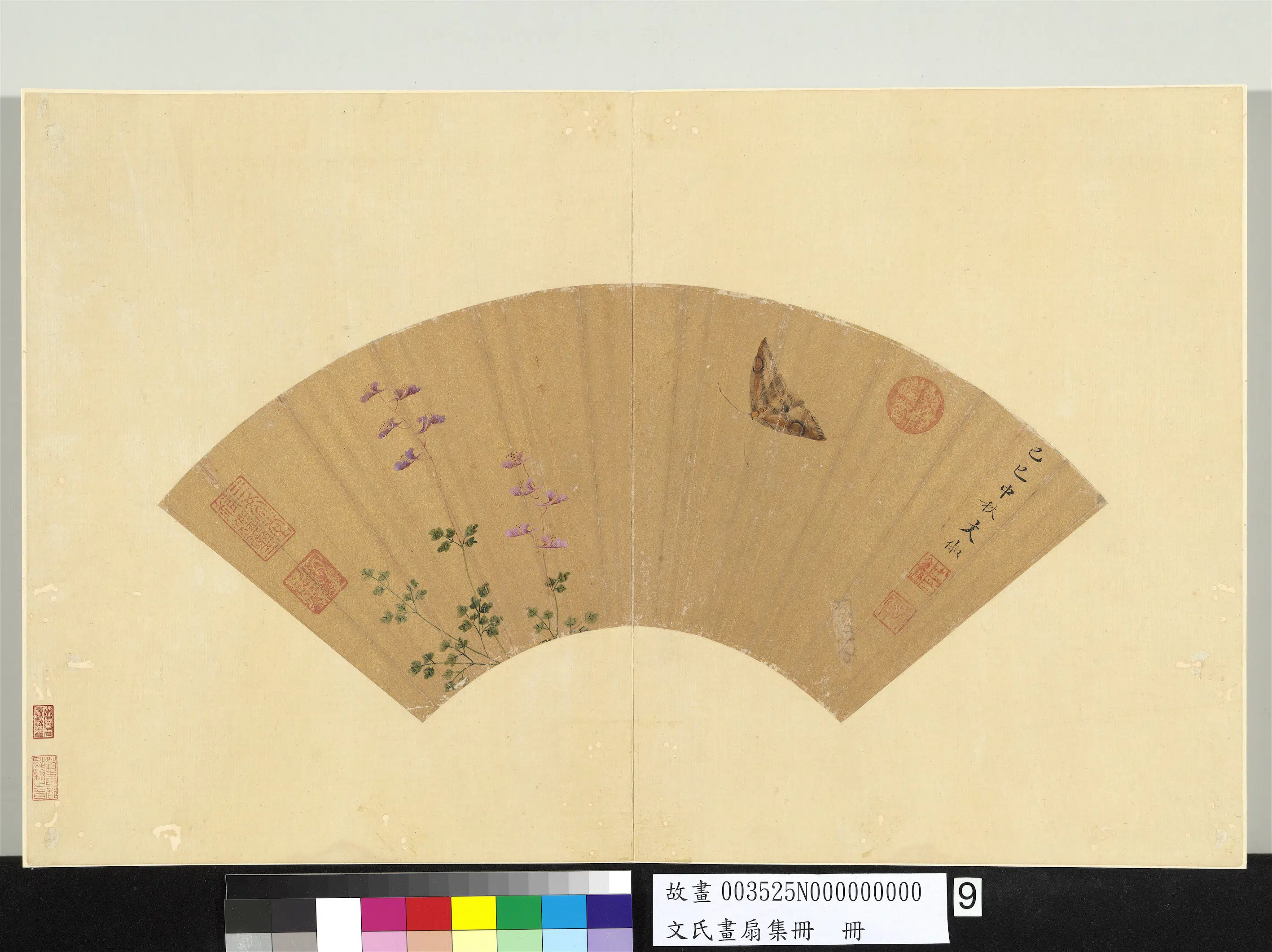 明朝【文俶】《花蝶图-文氏画扇集册》