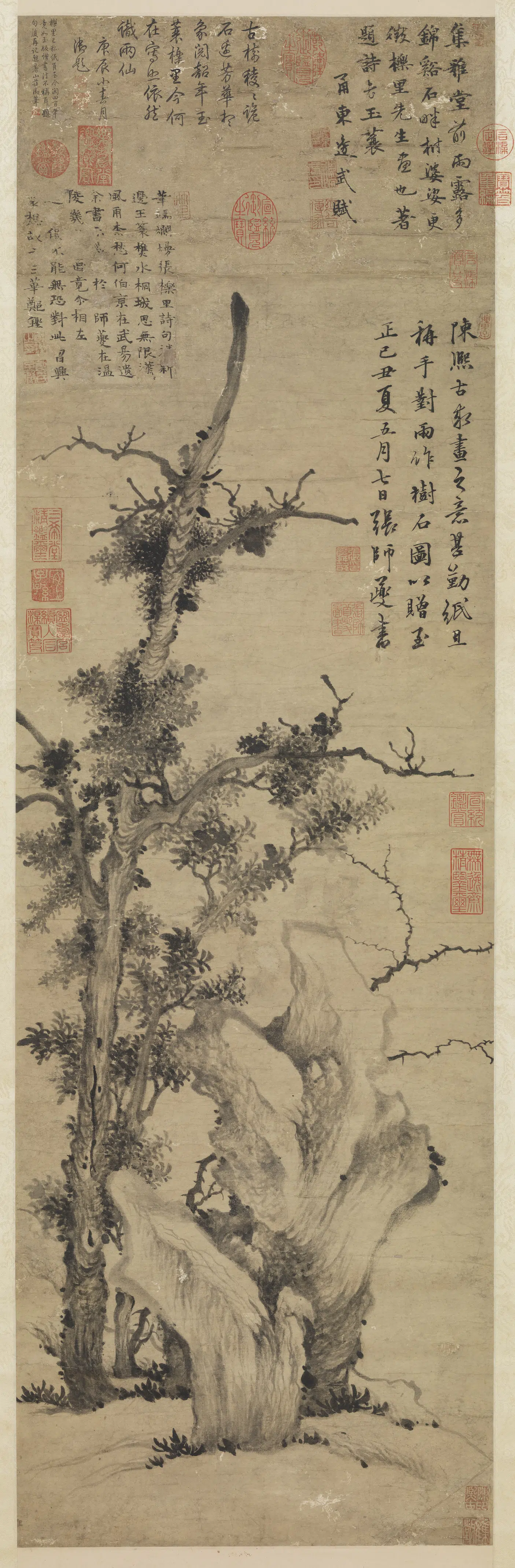 元朝【张舜咨】《画树石图轴》 第1张